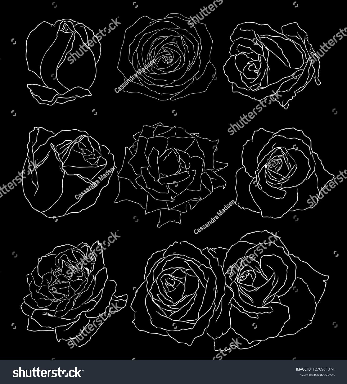 White Rose Outline Clipart Set Over Stock Illustration 1276901074