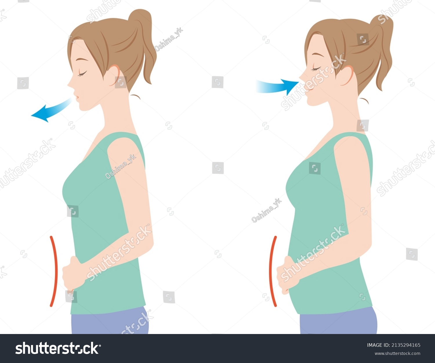 Woman Doing Belly Breathing Stock Illustration 2135294165 | Shutterstock