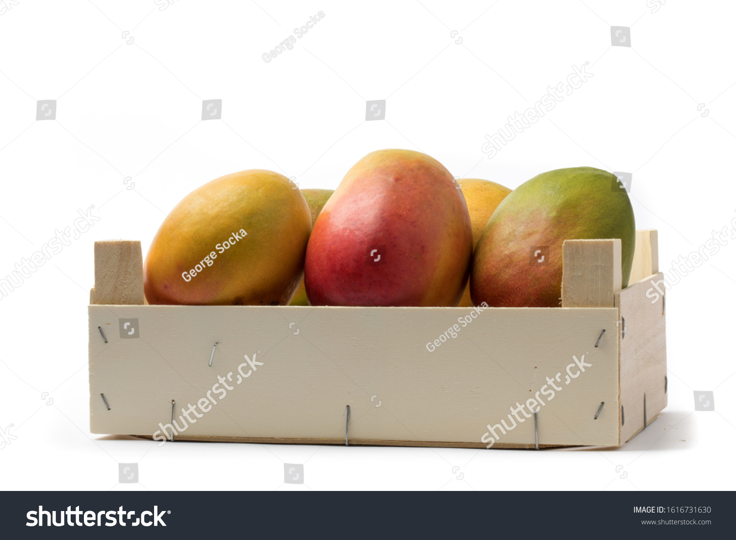 Download Wooden Crate Ripe Red Yellow Mangoes Stock Photo Edit Now 1616731630 Yellowimages Mockups