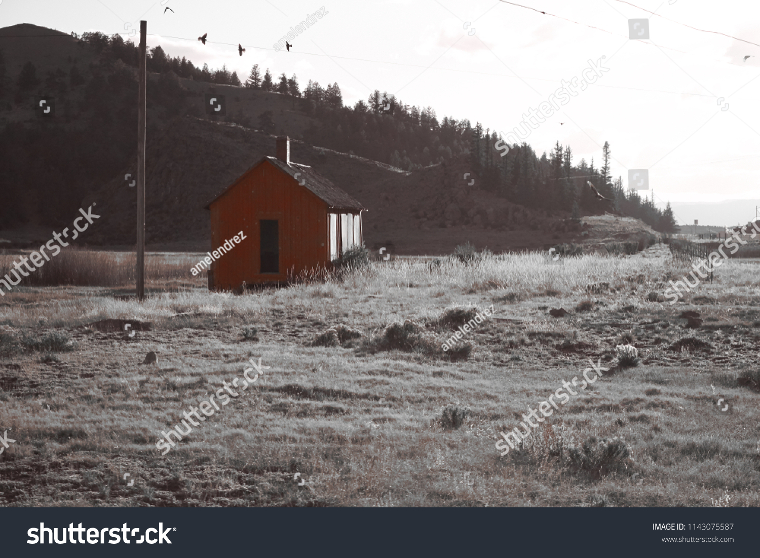 Abandoned Cabins Colorado Royalty Free Stock Image