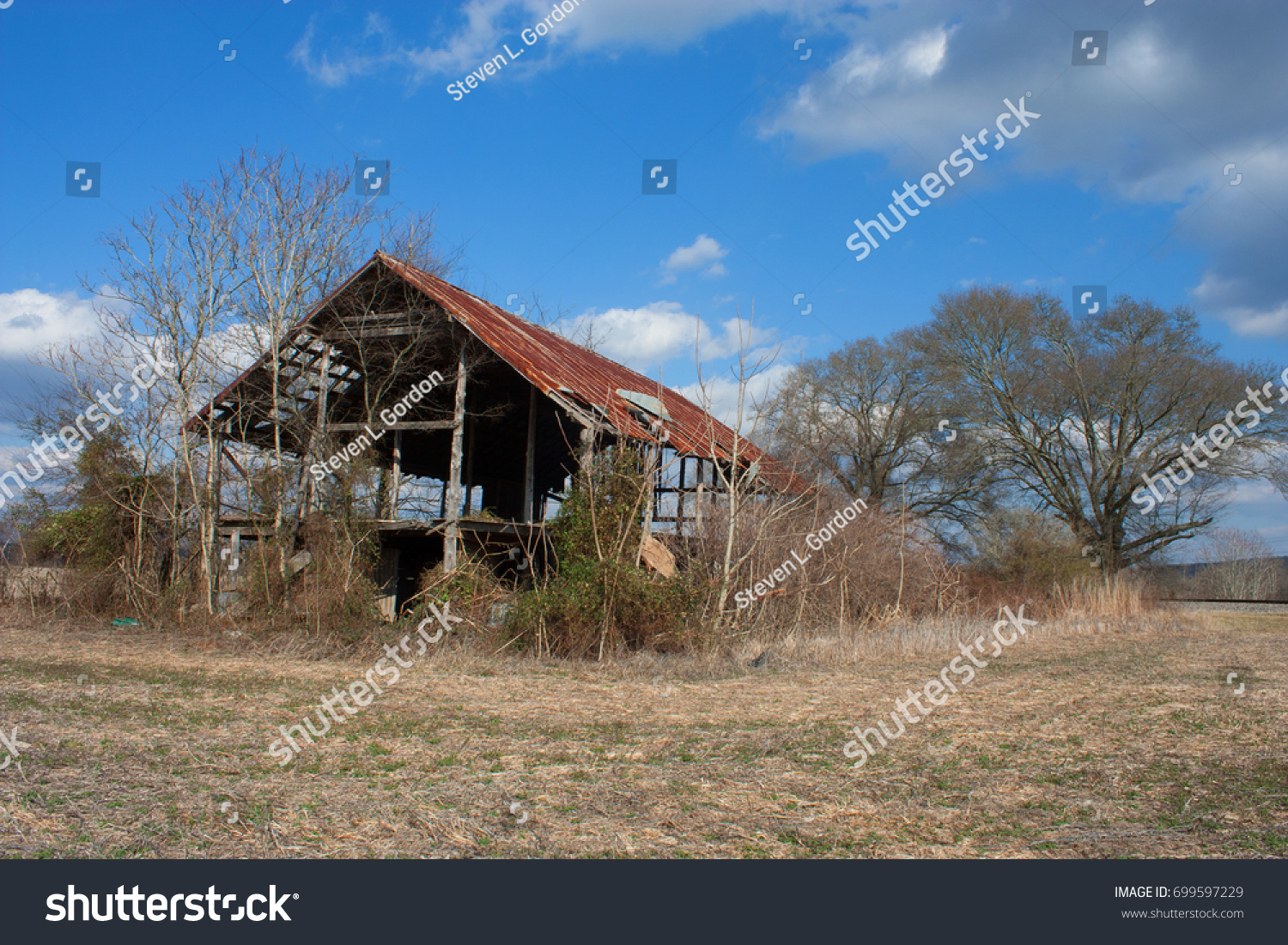 Abandoned Pole Barn Alabama Stock Photo Edit Now 699597229