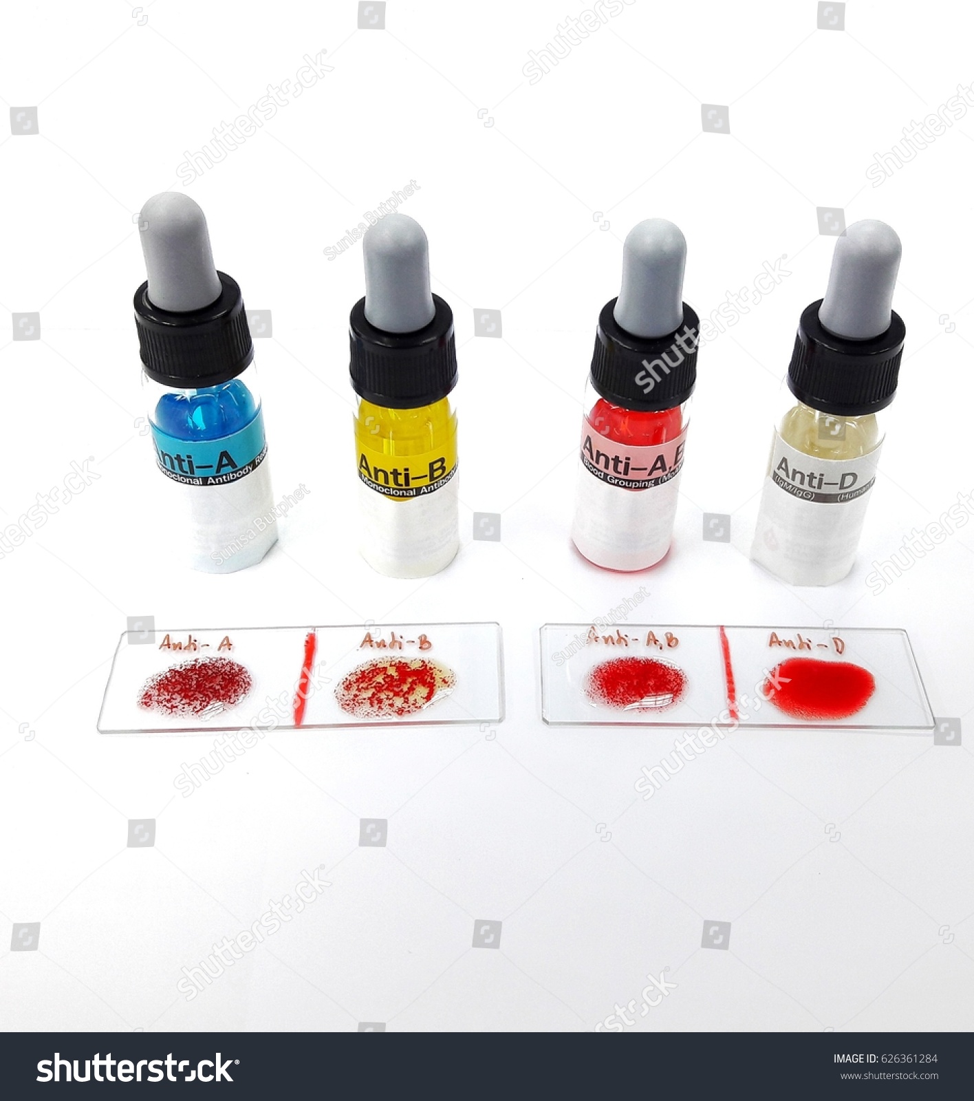 248-blood-group-slide-images-stock-photos-vectors-shutterstock