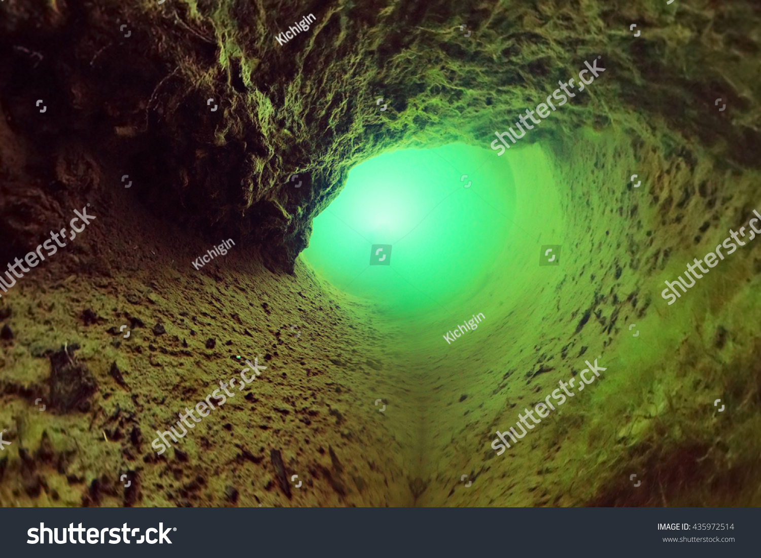 Abstract Background Cave Underwater Algae Stock Photo Edit Now 435972514