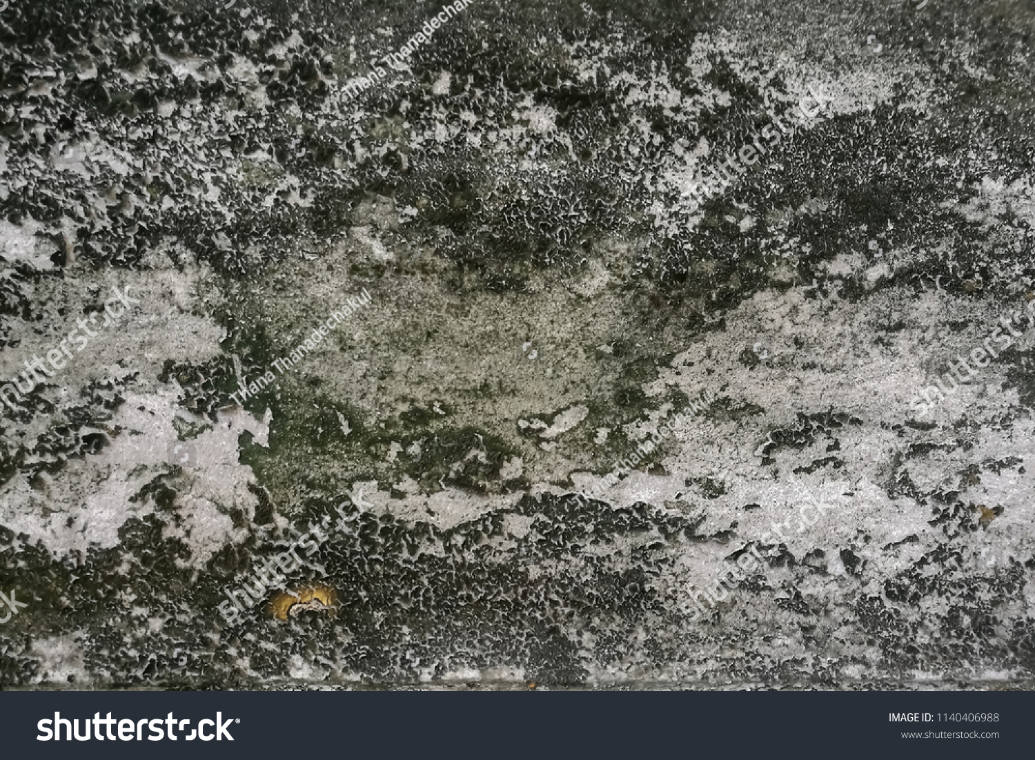 Abstract Background Dark Green Mold On Stock Photo Edit Now
