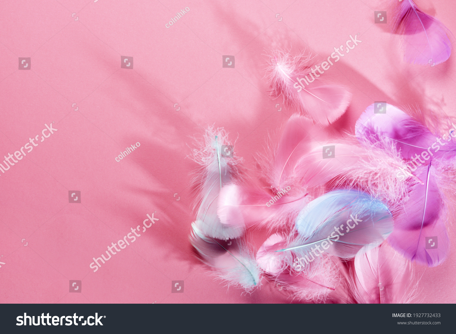 2,620,740 Feather on background Images, Stock Photos & Vectors