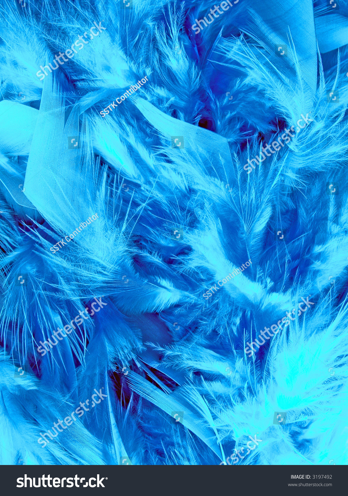 Abstract Blue Feather Texture Design Stock Photo 3197492 - Shutterstock