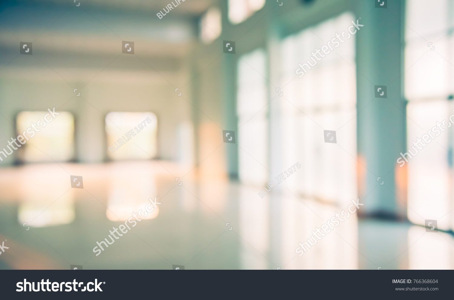 Abstract Blur Image Window Door Corridor Stock Photo 766368604 ...