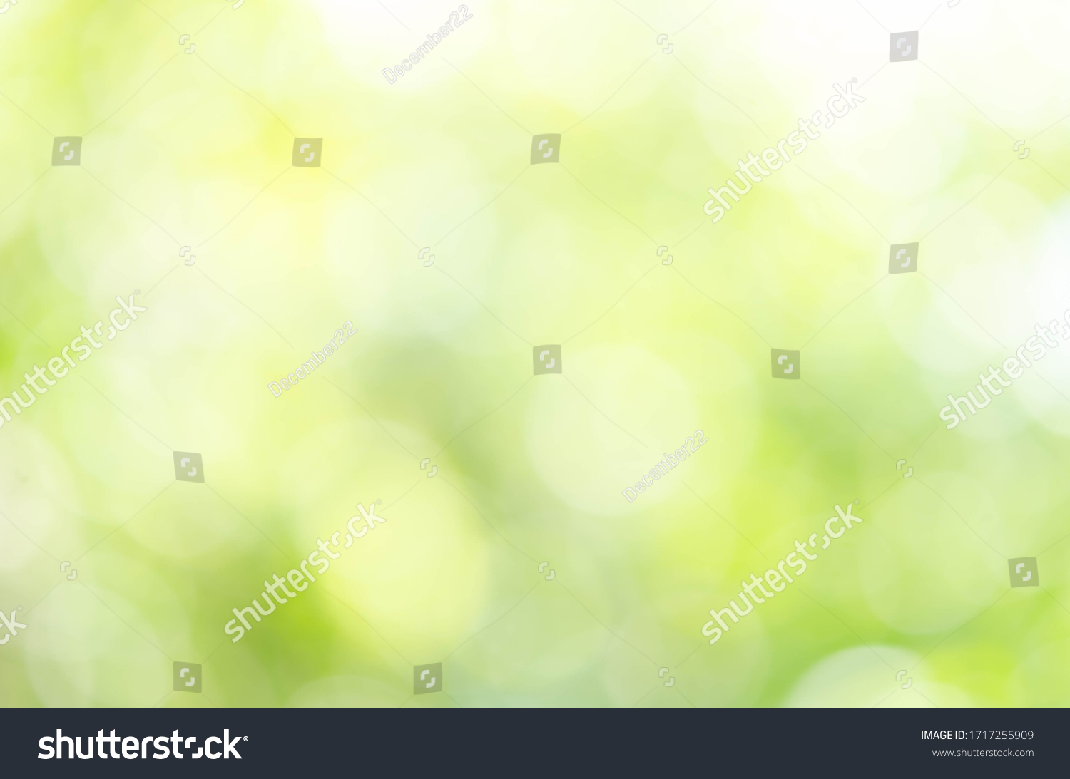 Abstract Natural Green Bokeh Background Stock Photo 1717255909 ...