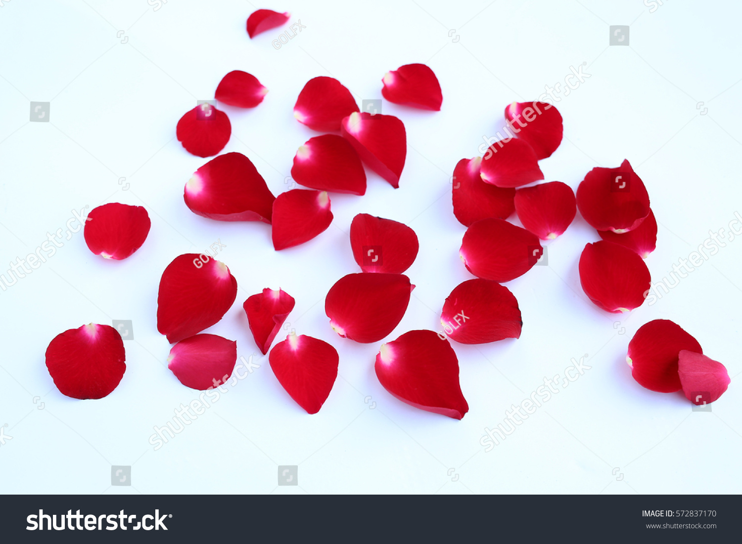 Abstract Red Rose Petals Isolated On Stock Photo (Royalty Free