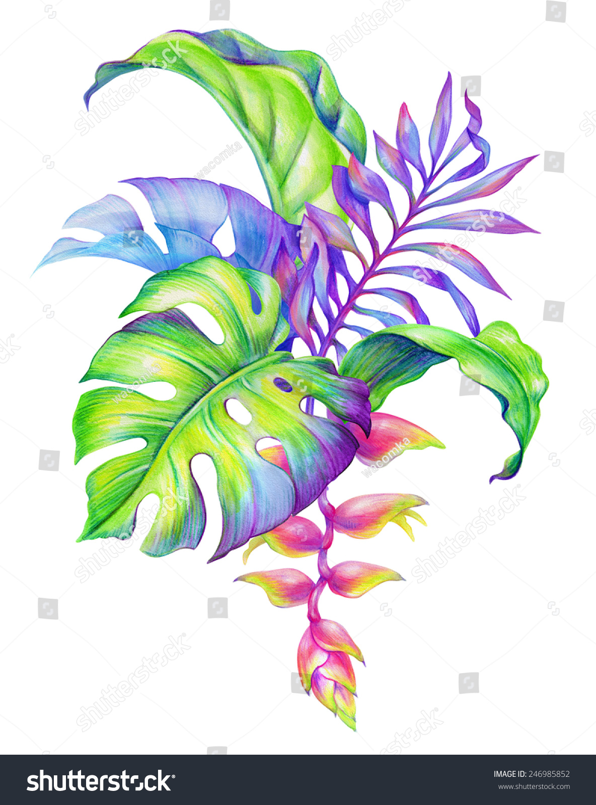 Abstract Tropical Leaves Flowers Jungle Plants Stock ...