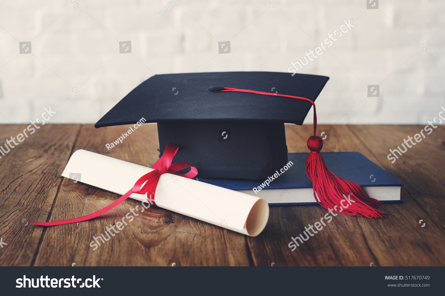 Academic College Degree Education Insight Concept