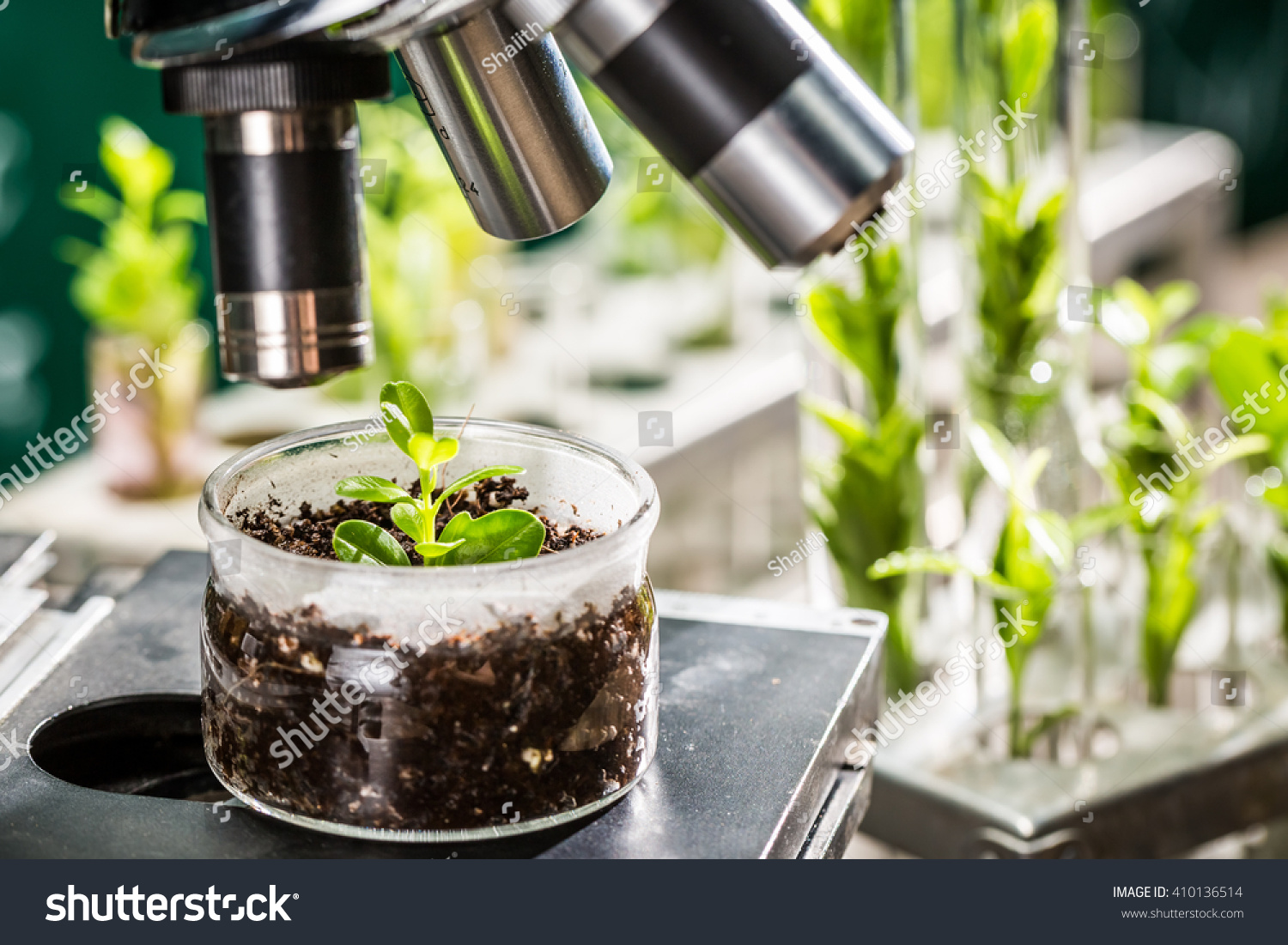 268-062-science-plant-shutterstock