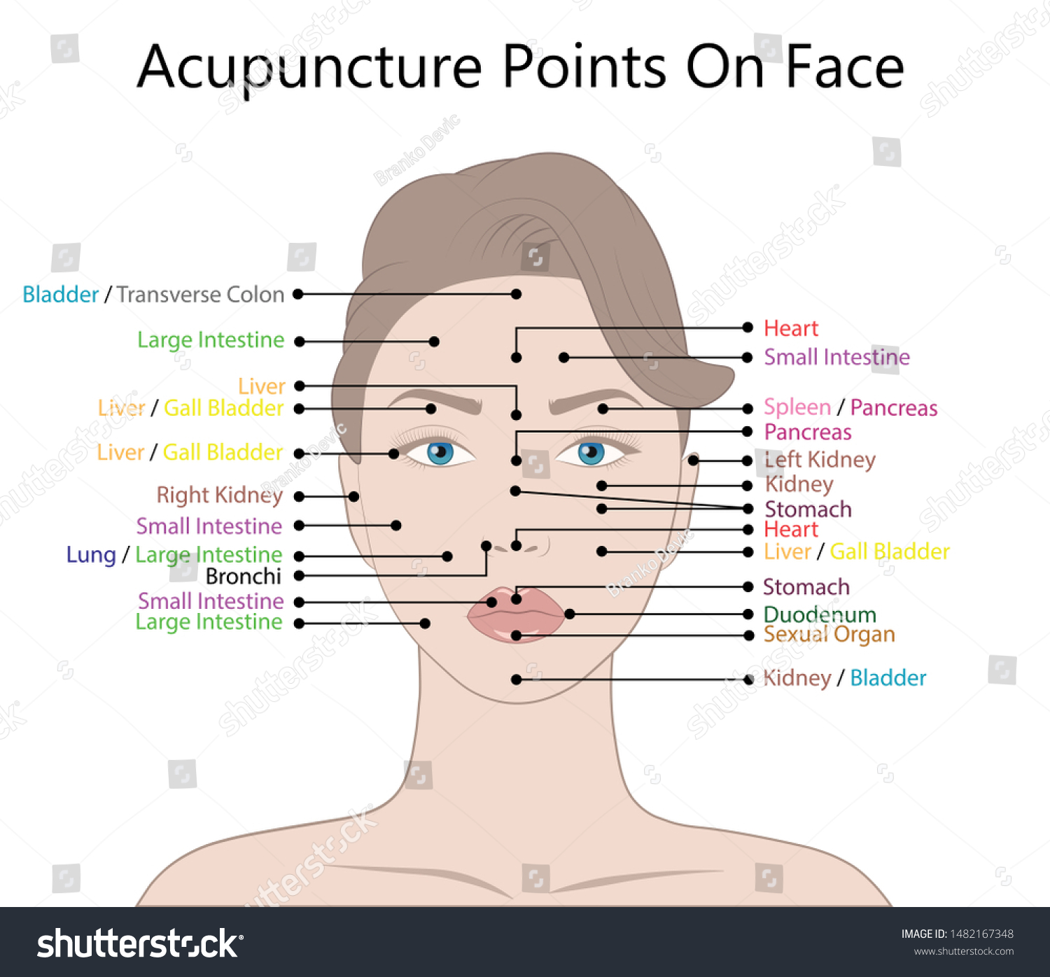 acupuncture points on the face chart Points acupuncture head face ...