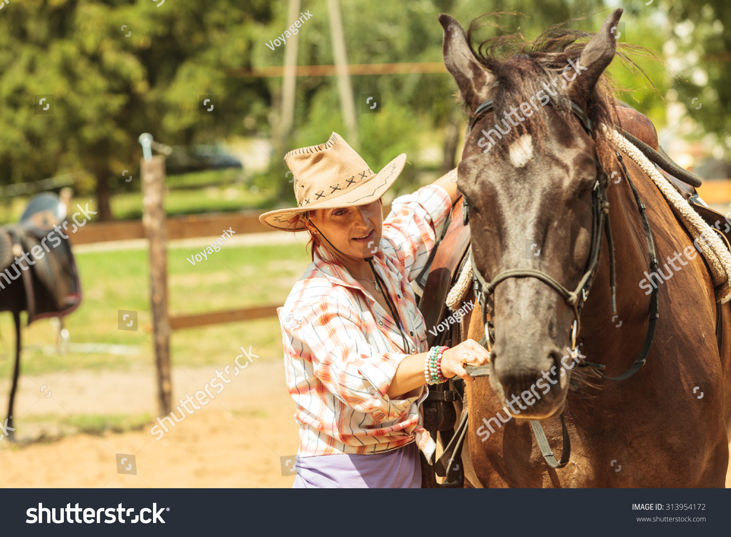 american girl western horse