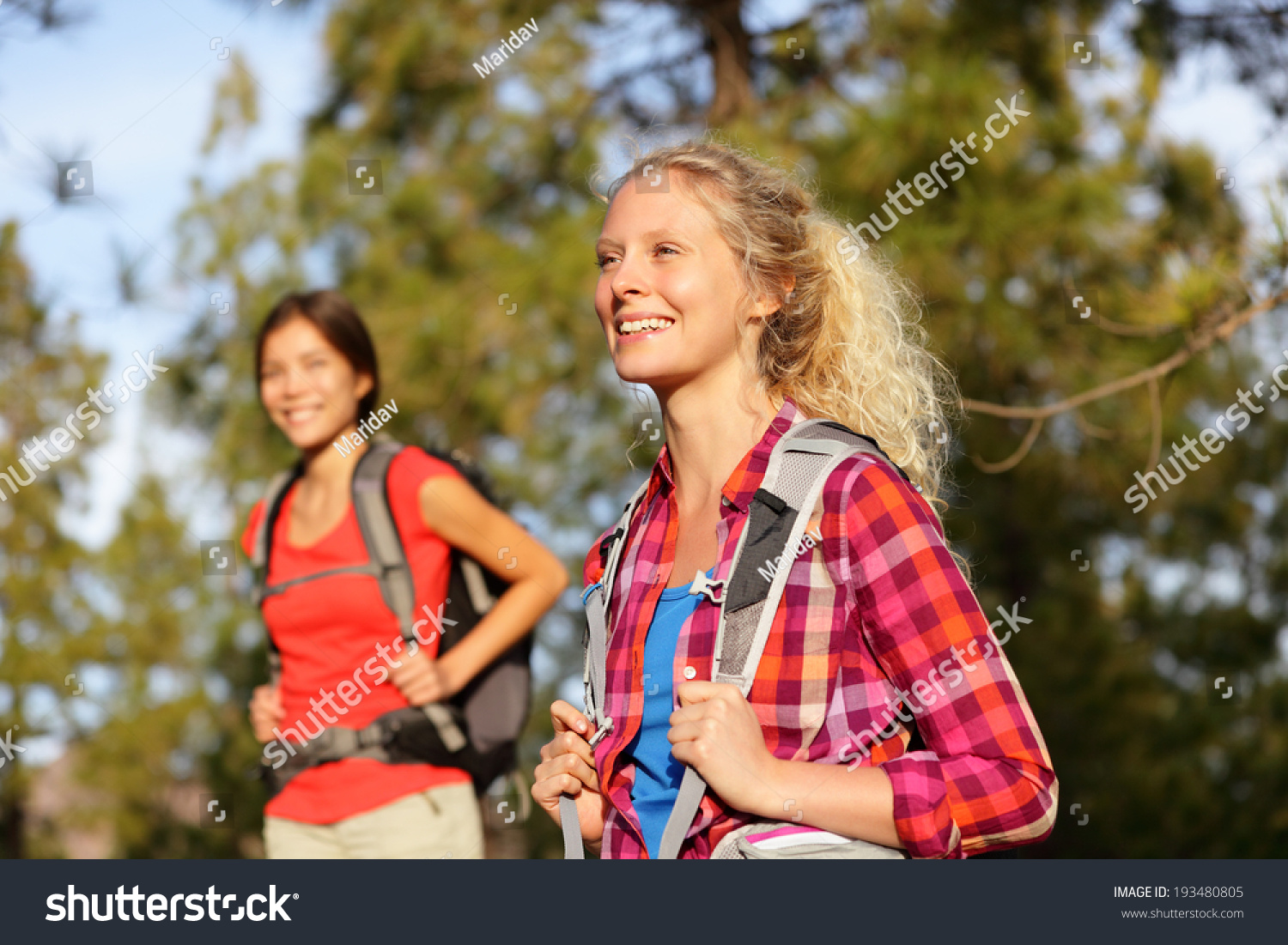 Active Women Hiking Girls Walking Forest Stock Photo (Edit Now) 193480805