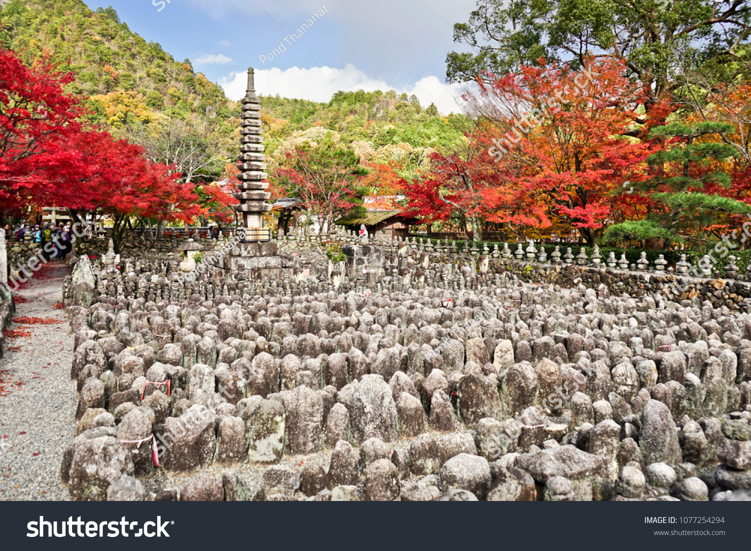 Adashino Nenbutsuji Temple Red Maple Leaves Stock Photo Edit Now