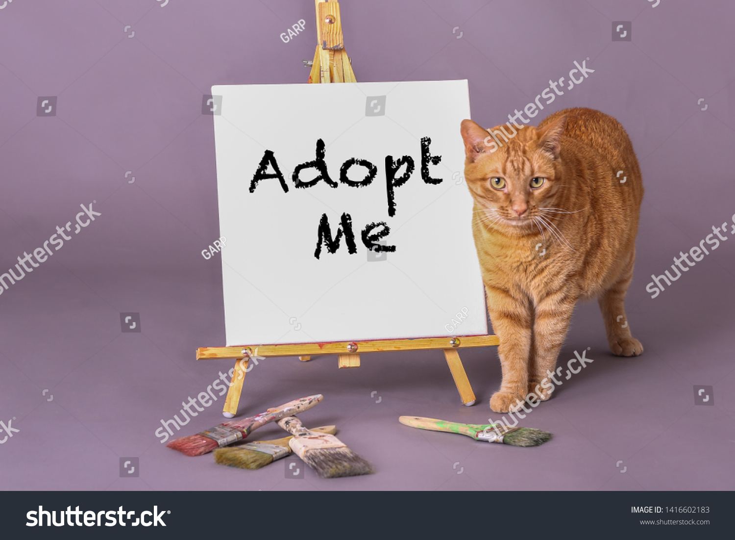 Adopt Me Painted Black Paint On Stock Photo Edit Now 1416602183