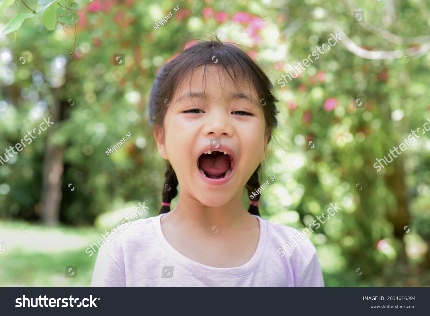 Adorable Asian Children Girl Braids First Stock Photo 2034616394 ...