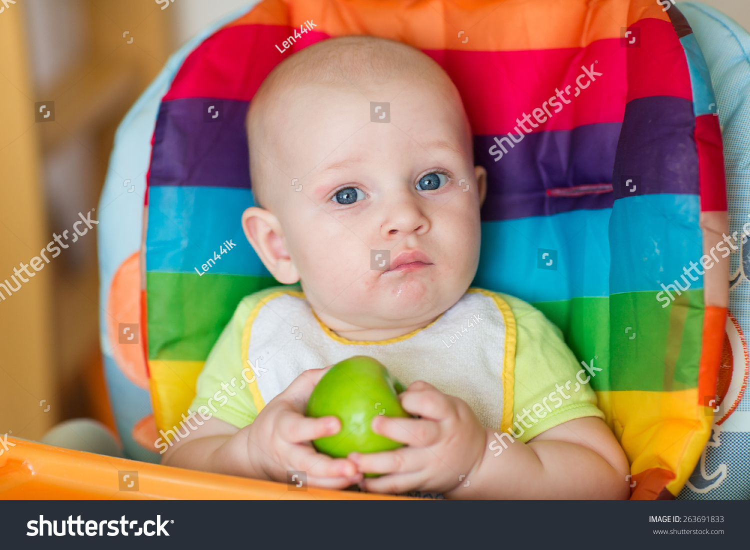 baby's first high chair