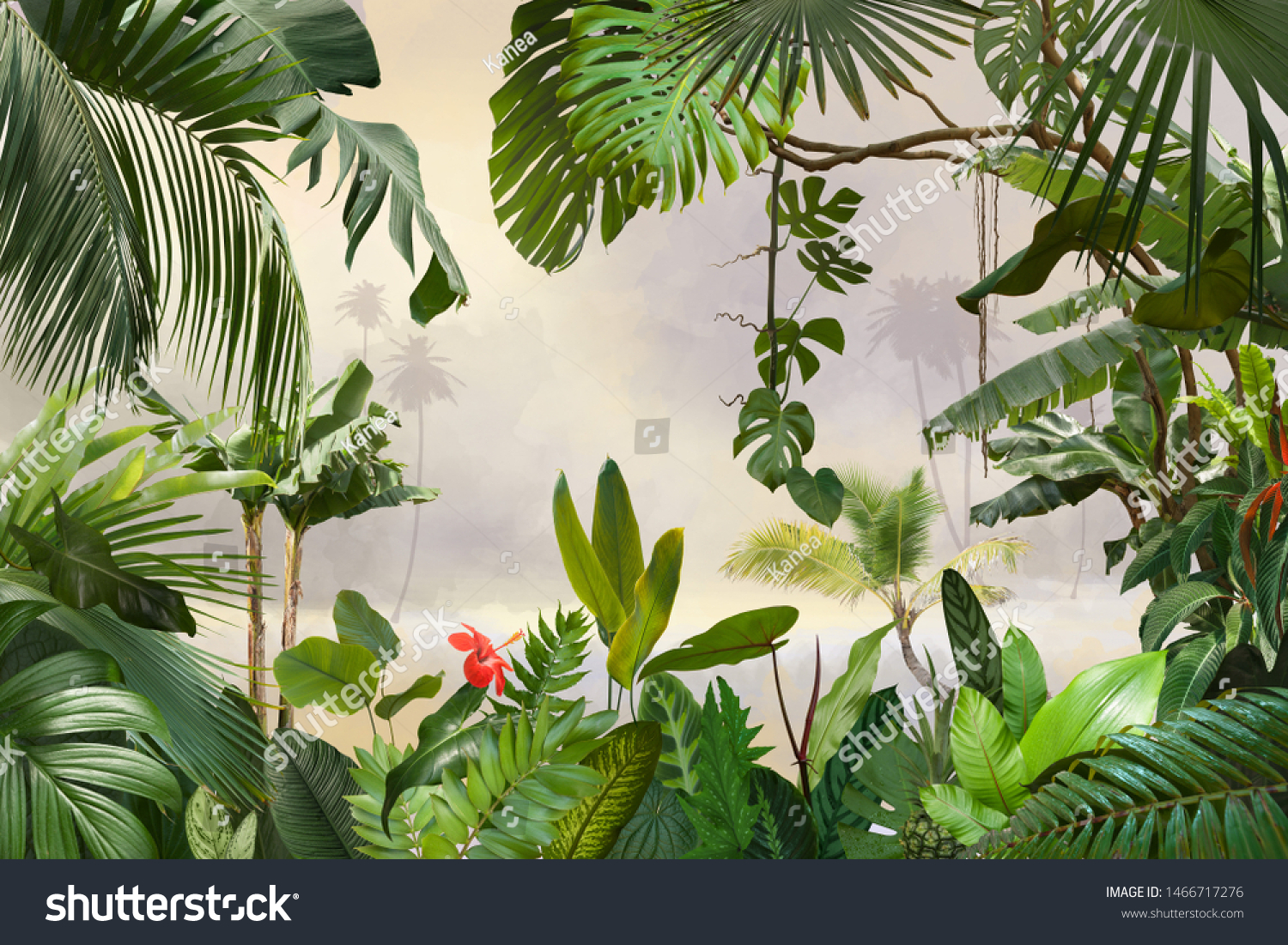 Adorable Background Design Tropical Palm Banana Stock Photo 1466717276