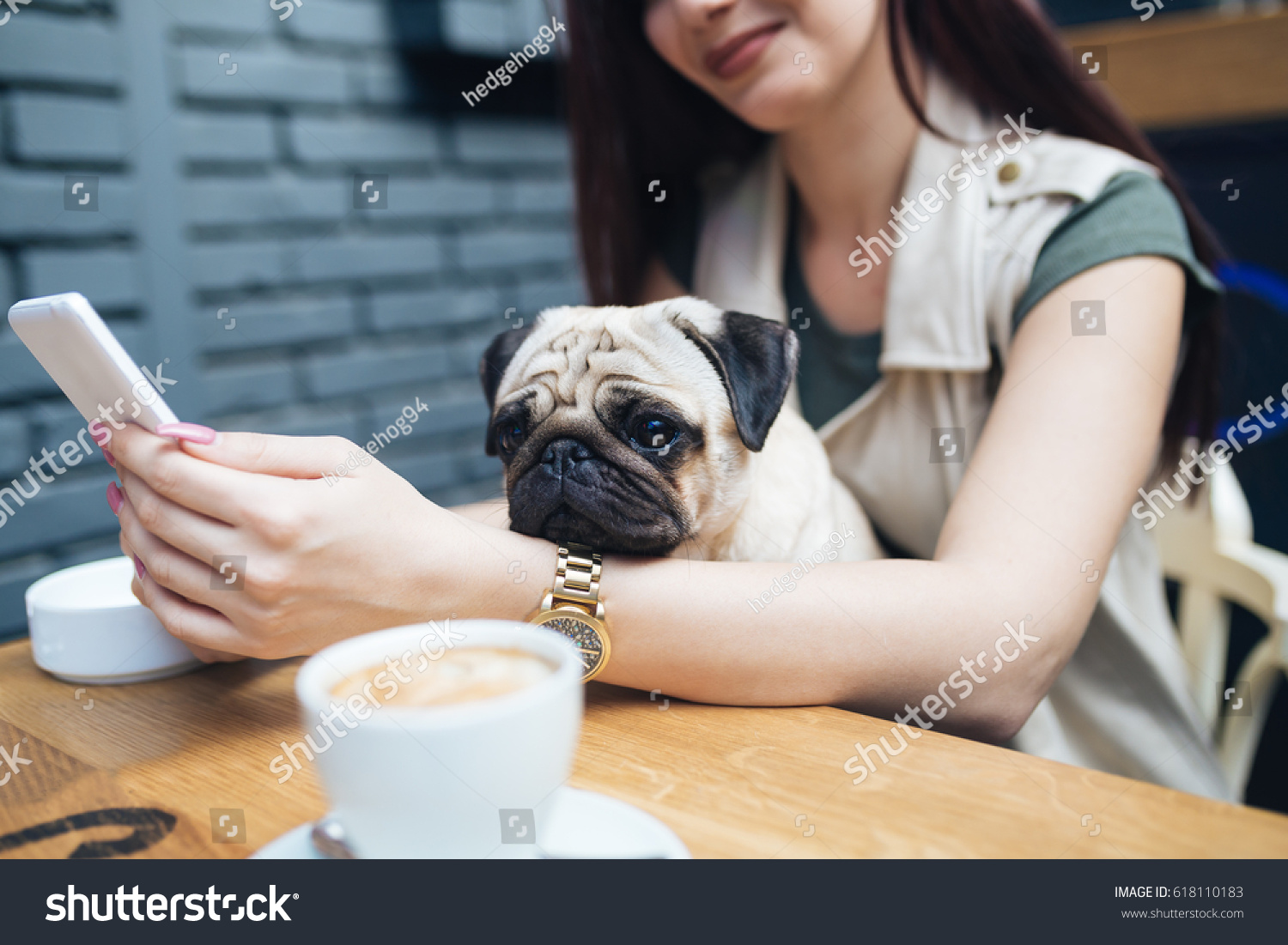 22,670 Pet Cafes Images, Stock Photos & Vectors 