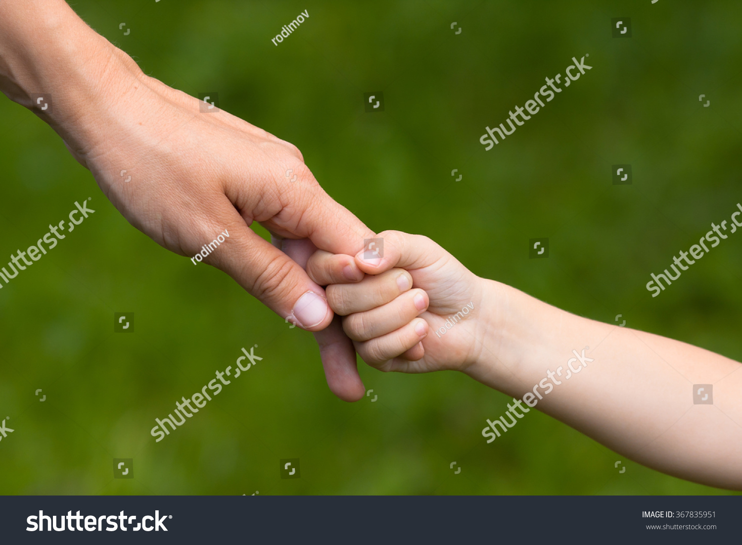 Adult Holding Hand Child Stock Photo 367835951 - Shutterstock