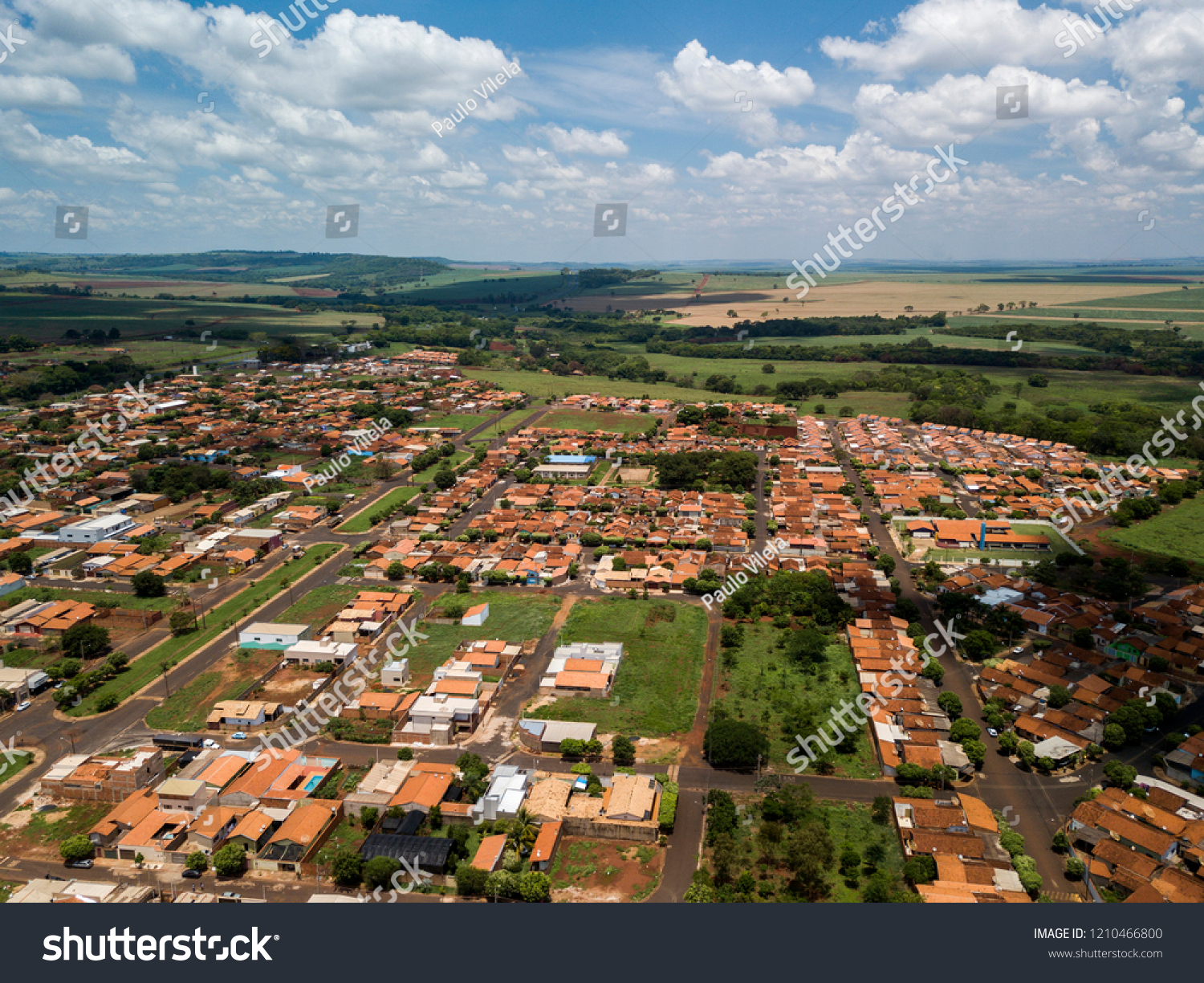 Aramina São Paulo fonte: image.shutterstock.com Fonte: image.shutterstock.com