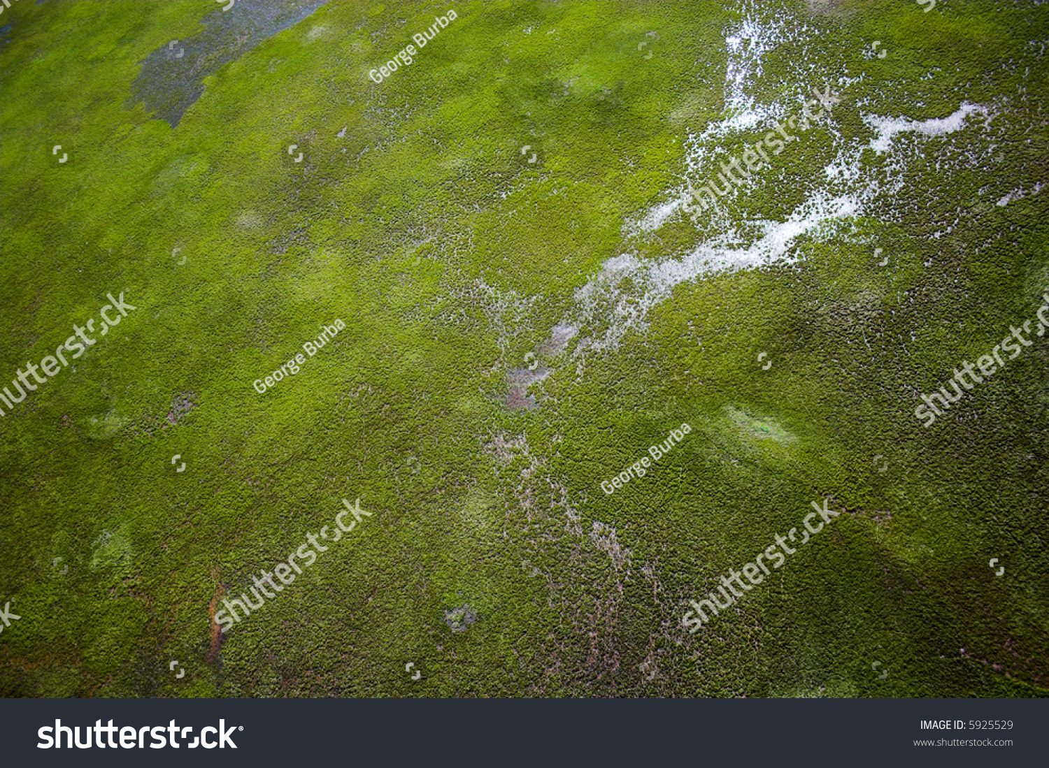 Aerial Photos Arctic Tundra Wetlands Backgrounds Stock Photo 5925529 ...