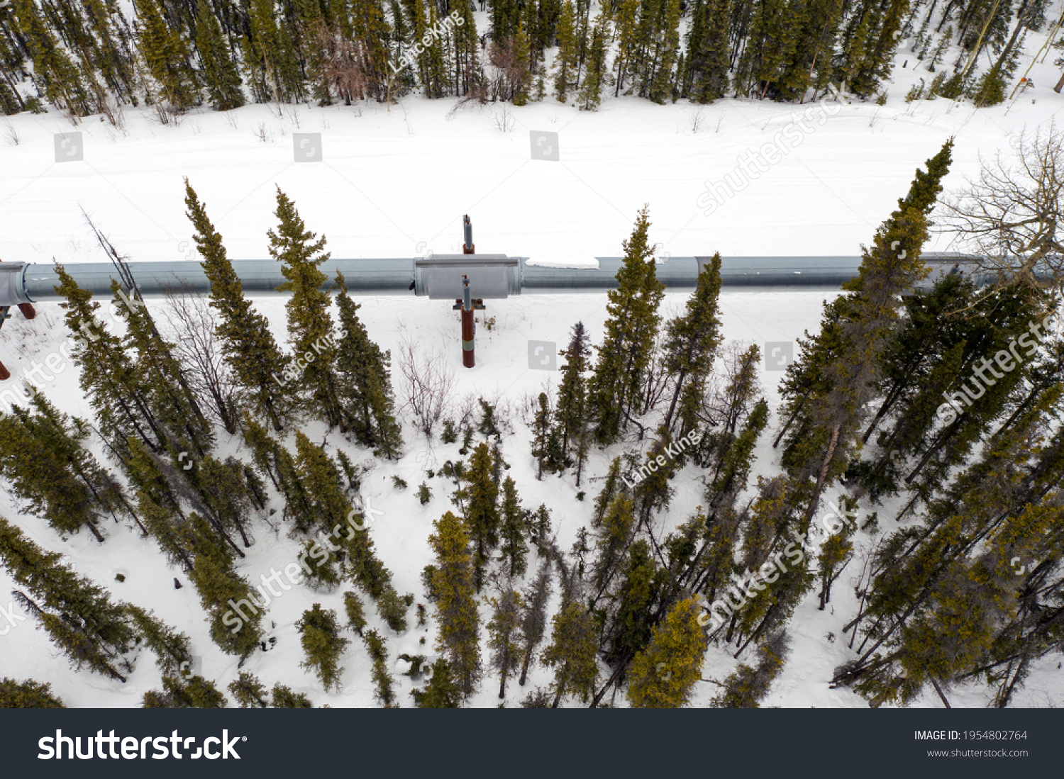 western canada extreme cold warning