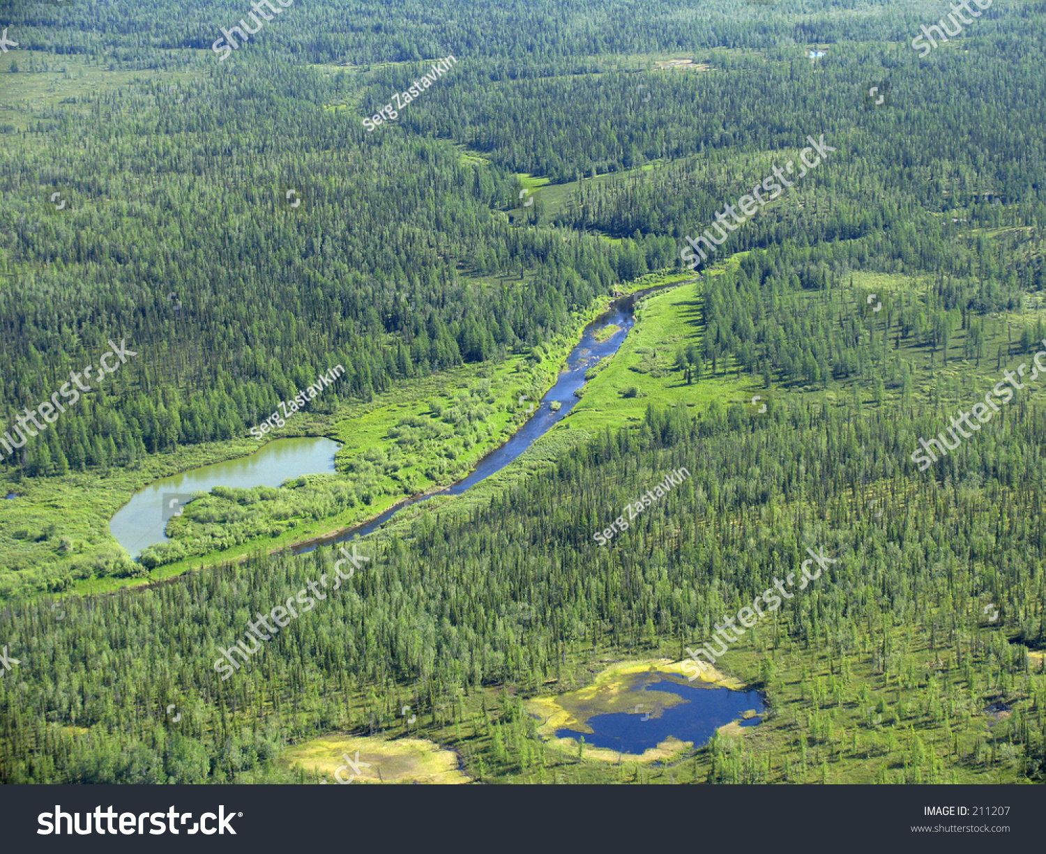 Aerial View On Siberian Taiga Landscape Stock Photo 211207 - Shutterstock