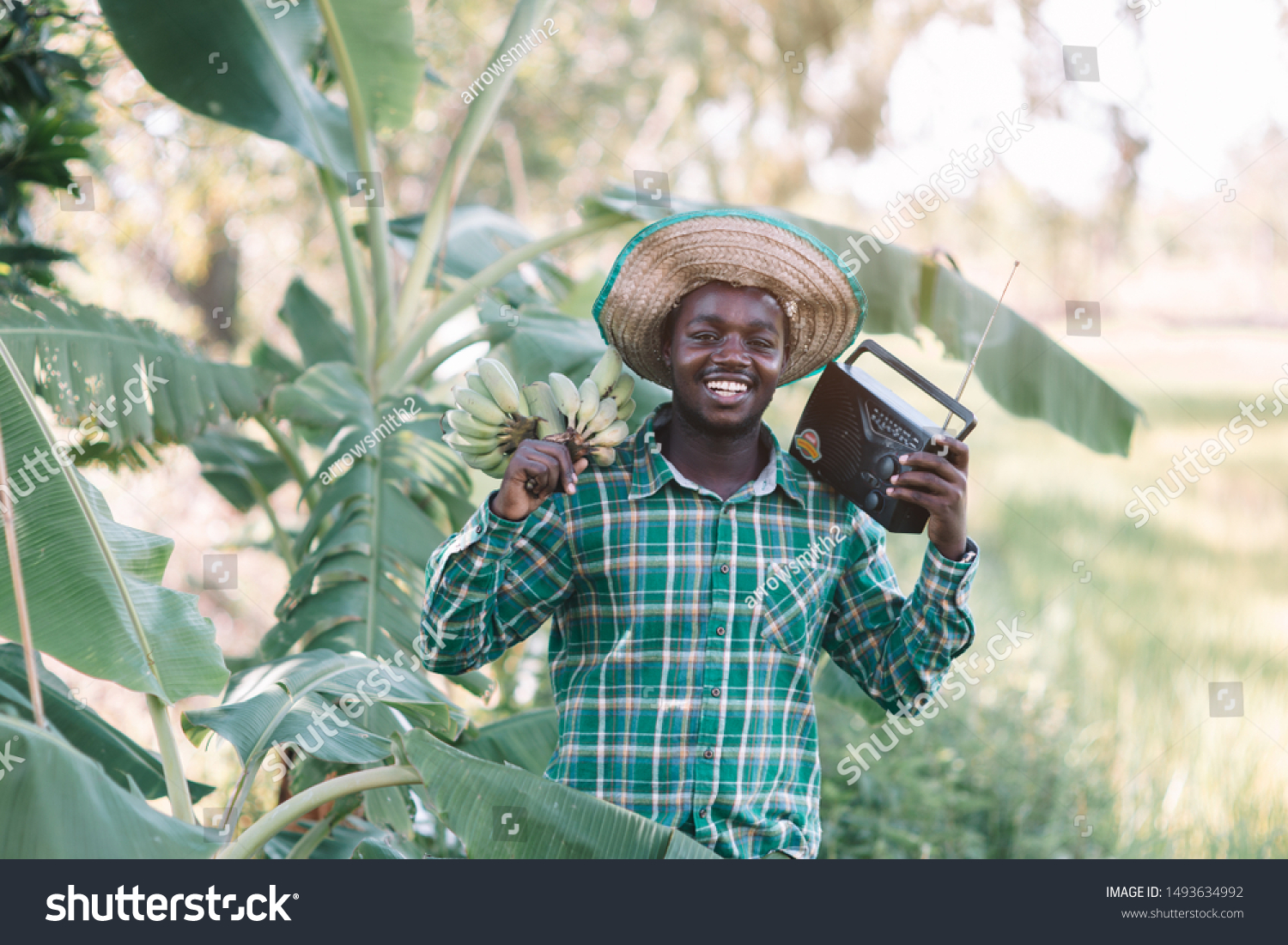 158 Farmer Listening Radio Stock Photos Images Photography 158-farmer-listening-radio-stock-photos-images-photography