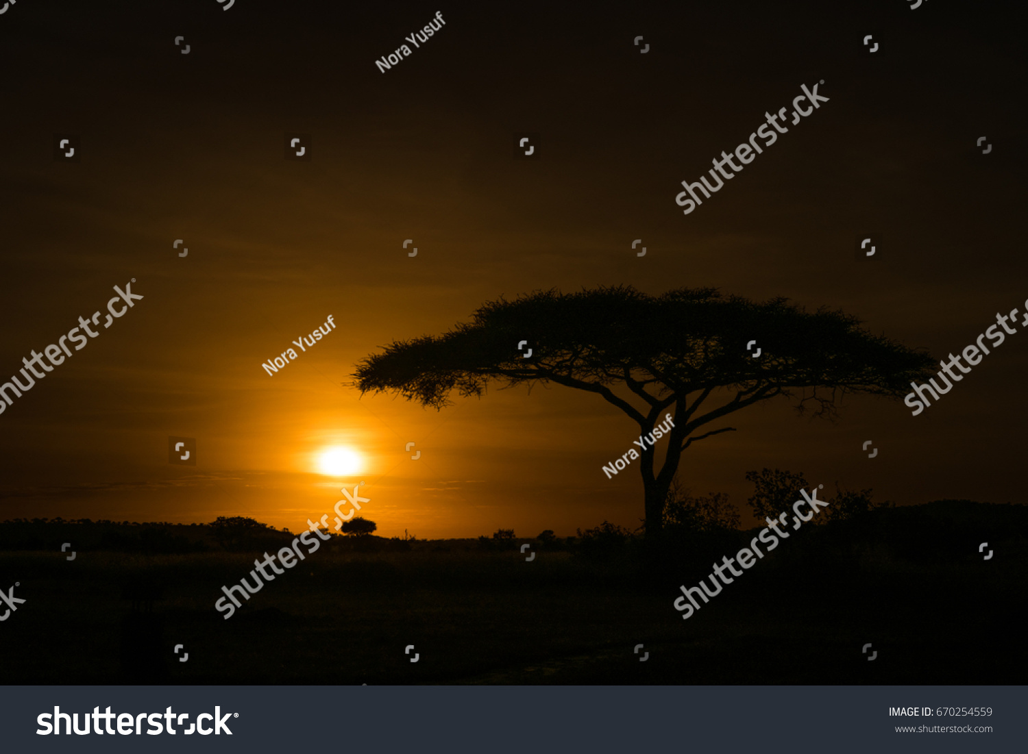 African Savannah Sunrise Fiery Orange Sun Stock Photo (Edit Now) 670254559