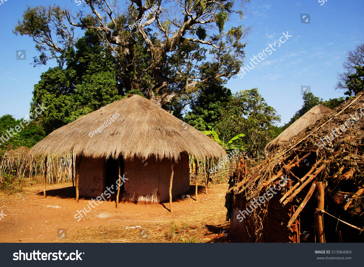 African Straw Hut Rain Forest Gambia Stock Photo (Edit Now) 513964069