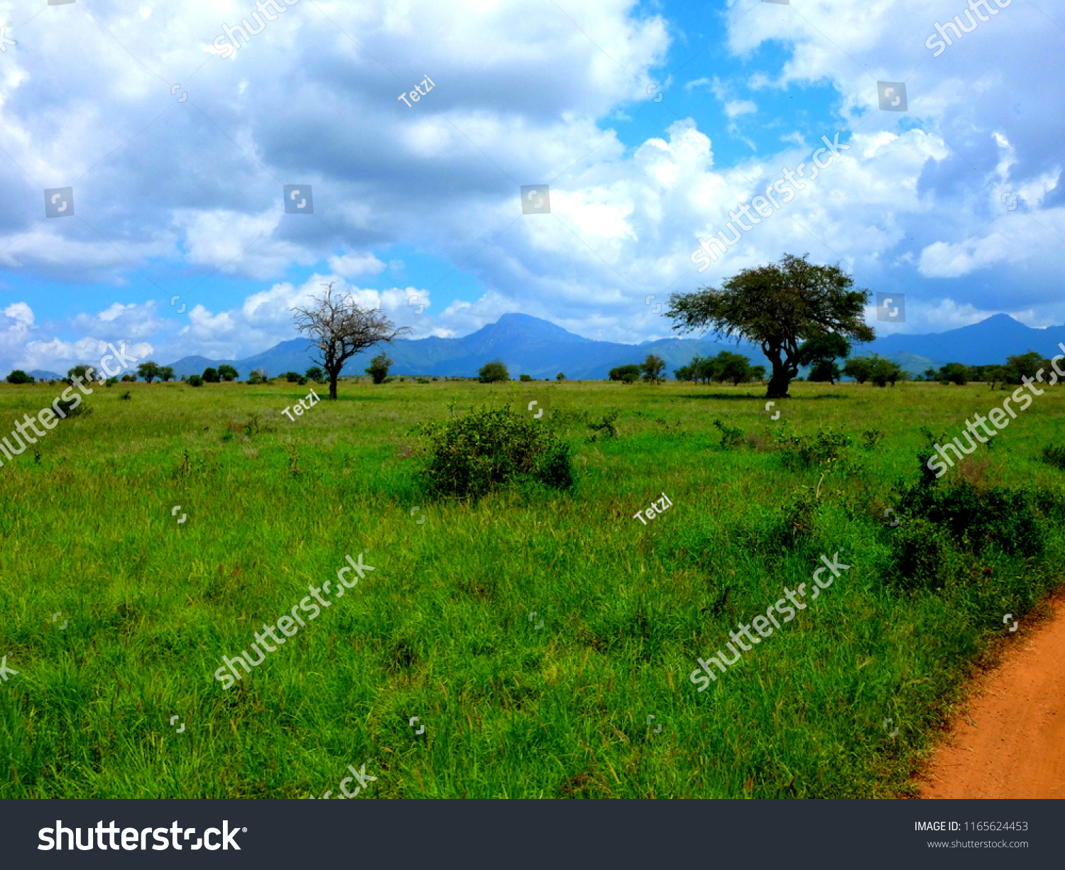 Afrika Tsavo Nationalpark Kenia Safari Landscape Stock Photo Edit Now