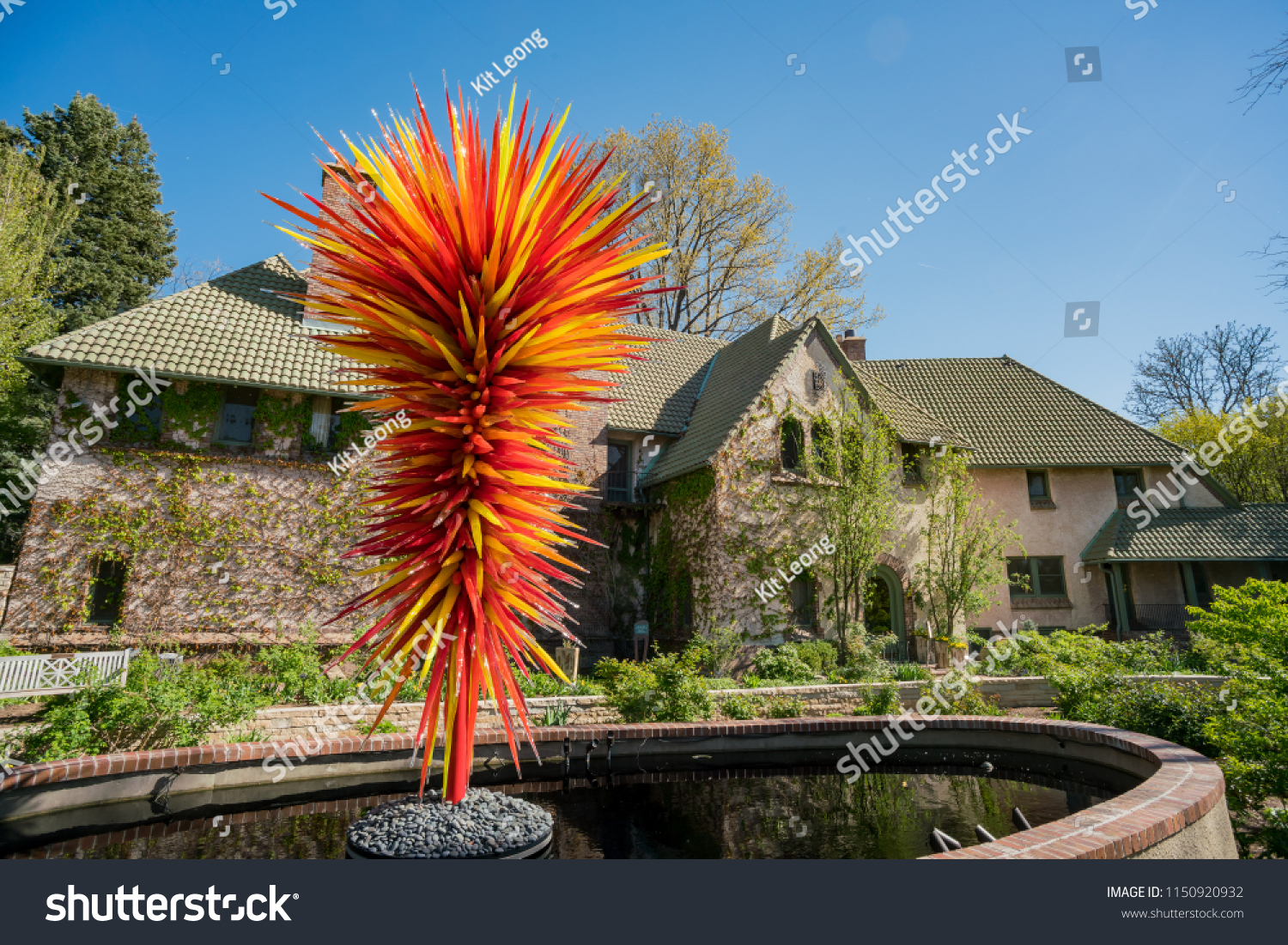 Afternoon View Beautiful Denver Botanic Gardens Stock Photo Edit