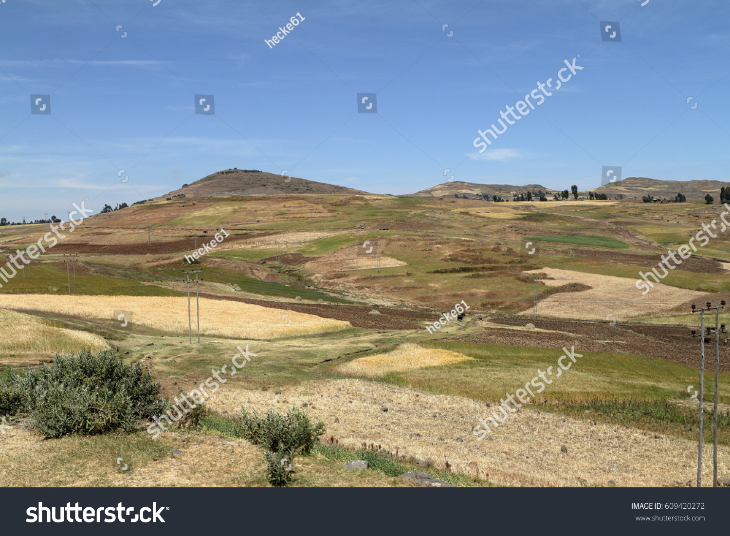 Agriculture Crop Fields Ethiopia Stock Photo 609420272 Shutterstock   Stock Photo Agriculture And Crop Fields In Ethiopia 609420272 