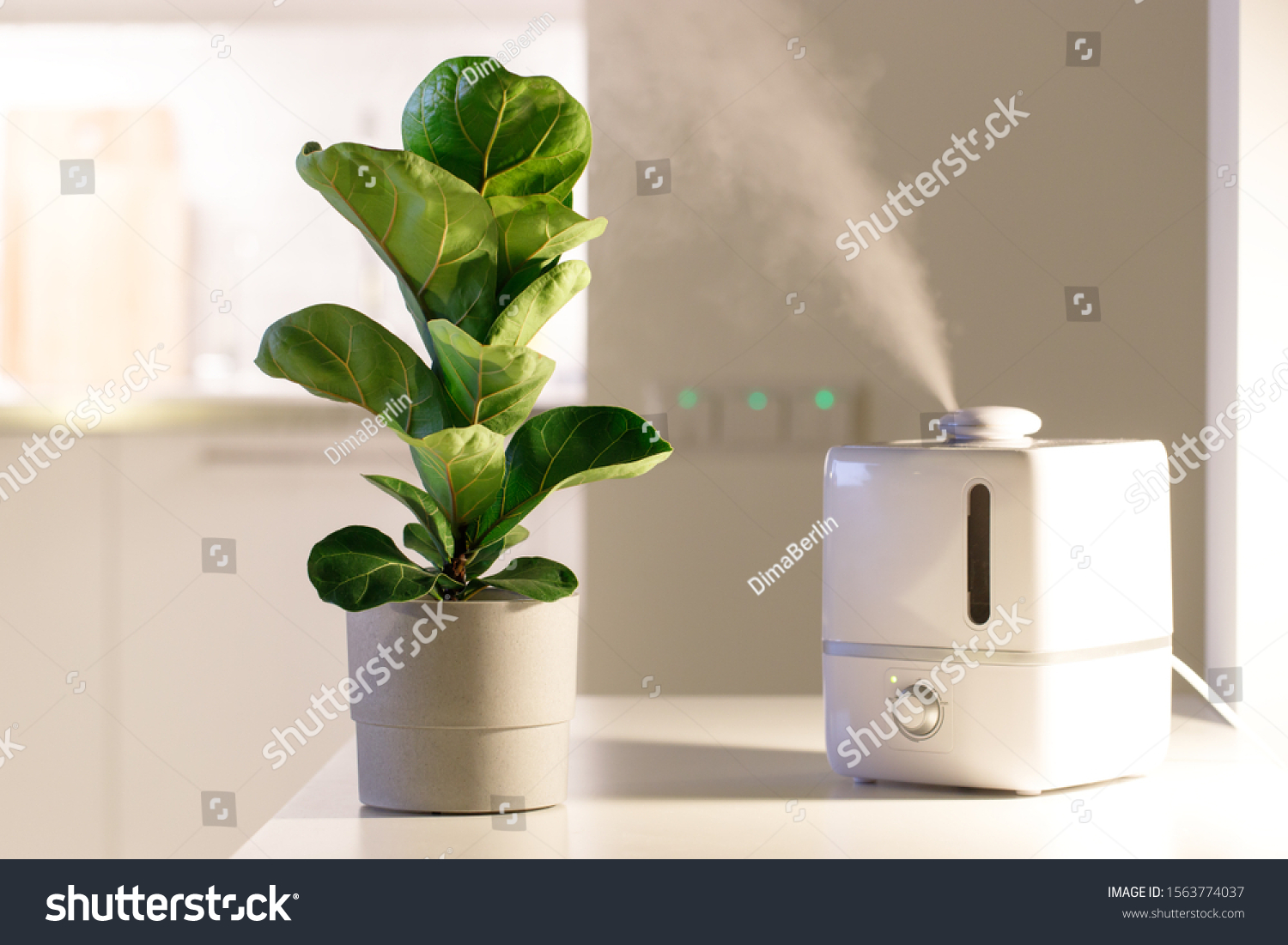 at home humidifier