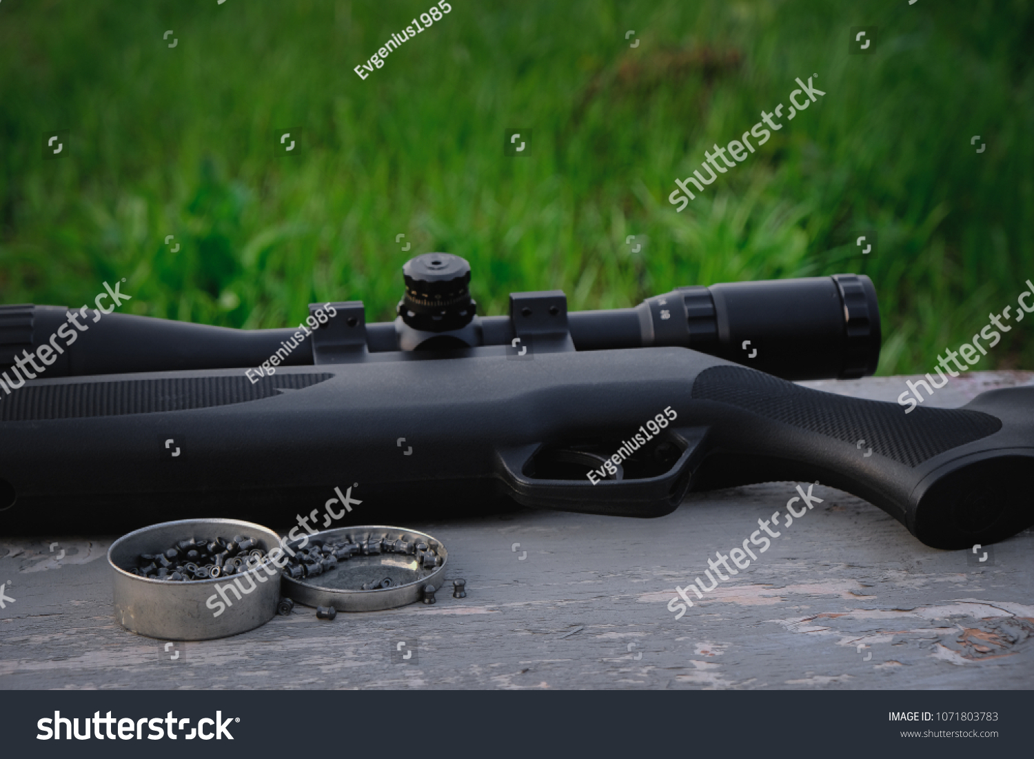 Airgun Pellets Stock Photo 1071803783 | Shutterstock