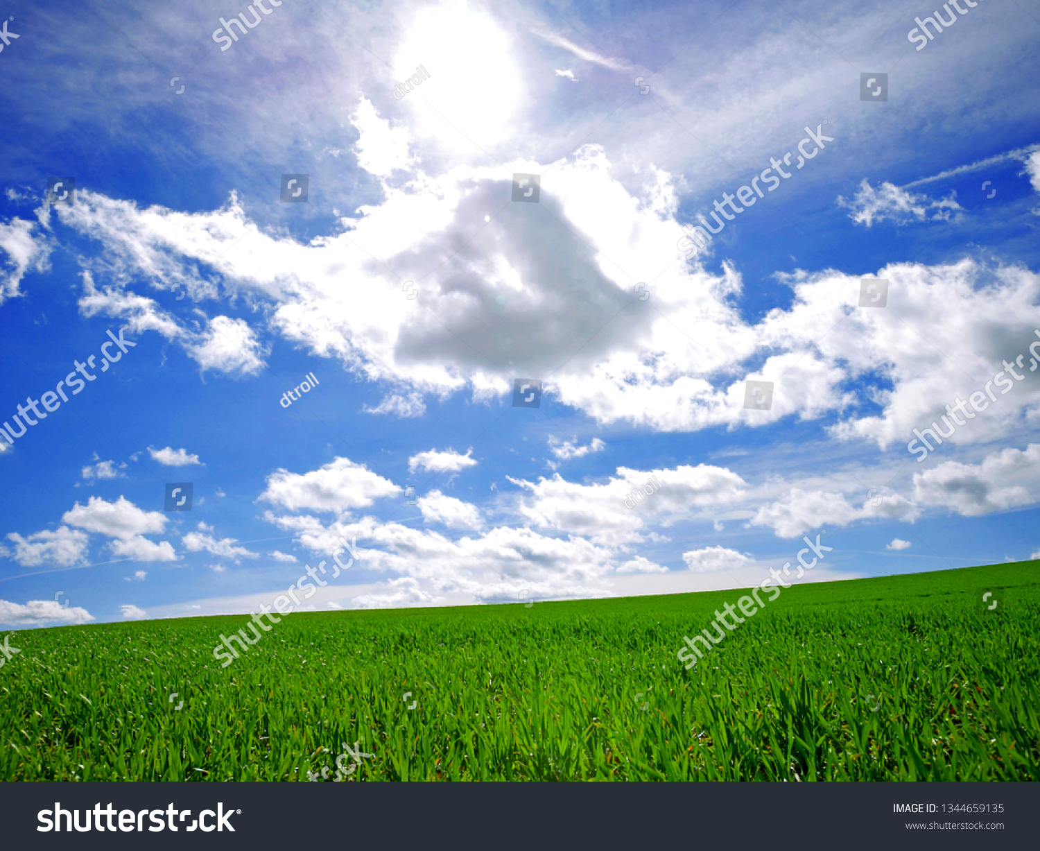 Windows Xp Background