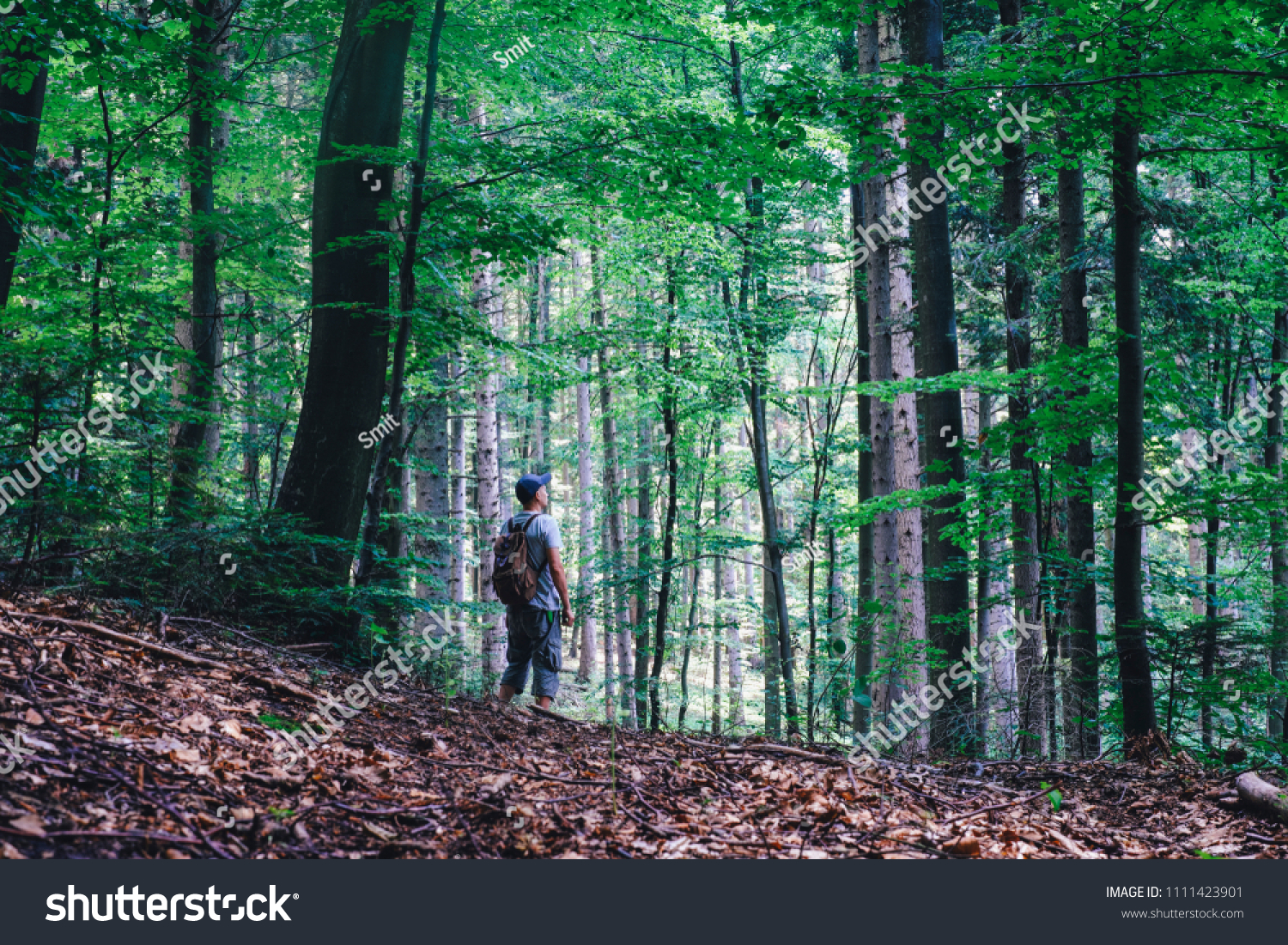  Ocean Colored Classic  Template Design Featuring Alone Man in Wild Forest Travel