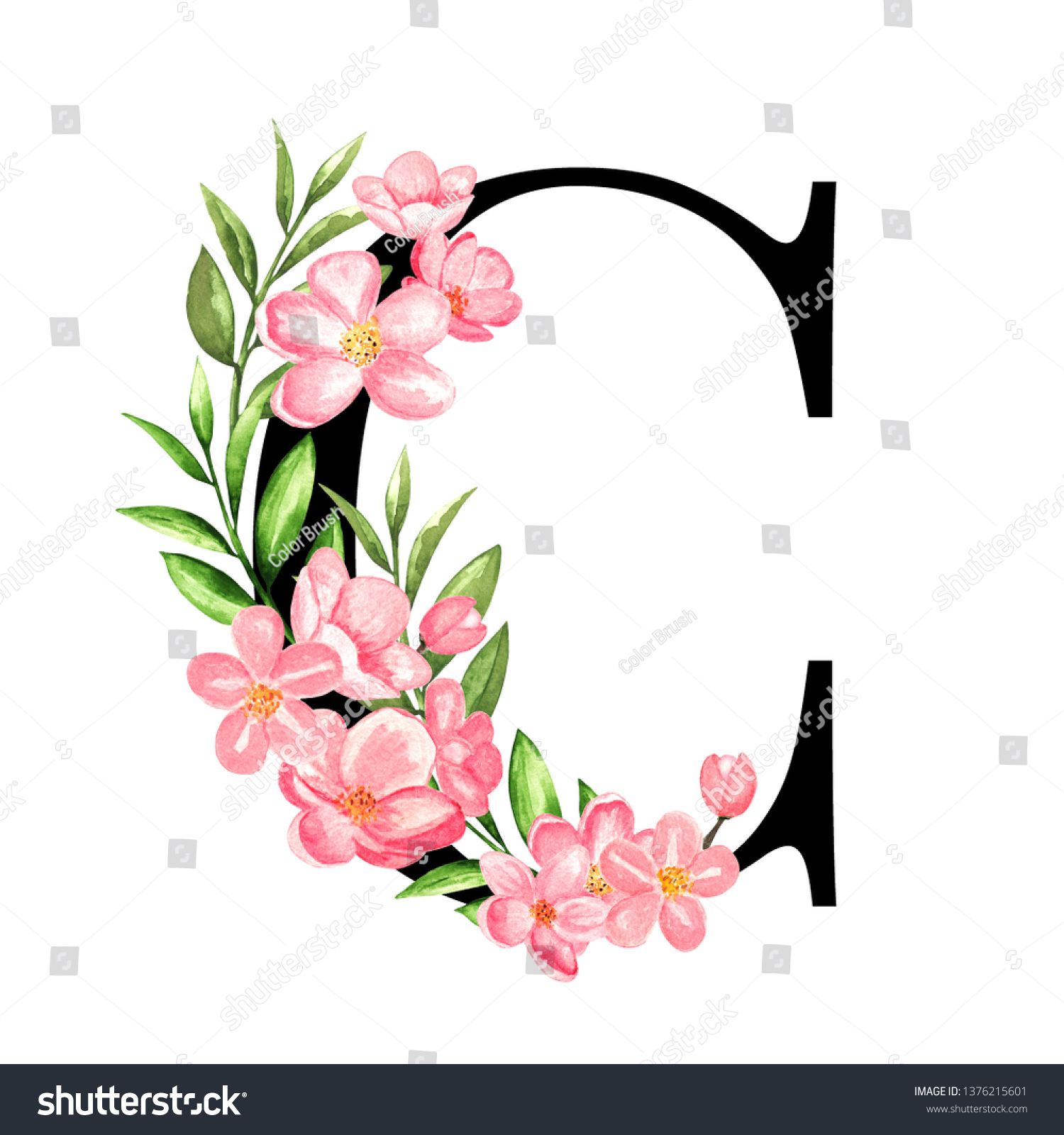 Download Alphabet Letter C Monogram Floral Design Stock Illustration 1376215601