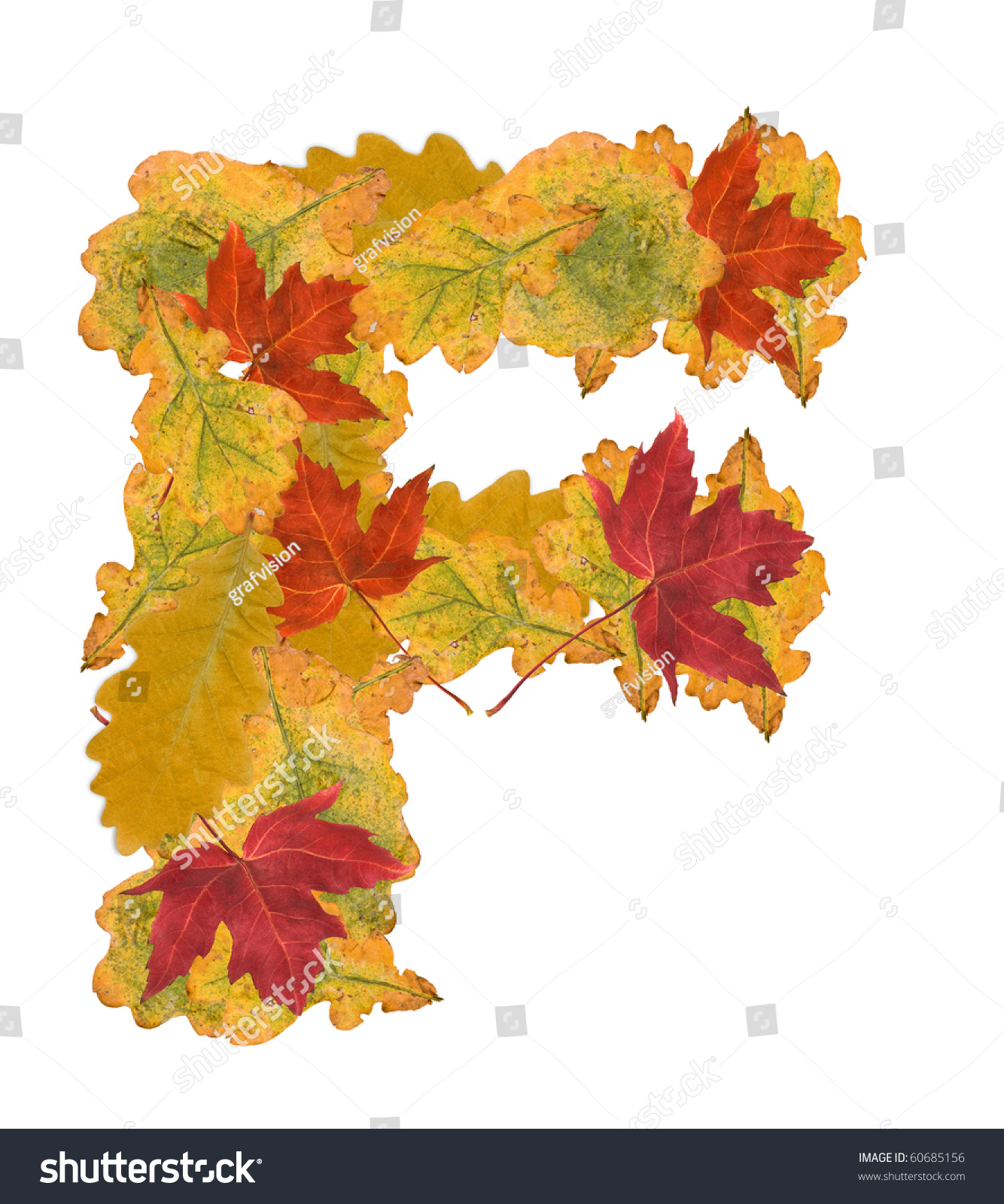 Alphabet Of Autumn Leaves . Letter F Stock Photo 60685156 : Shutterstock