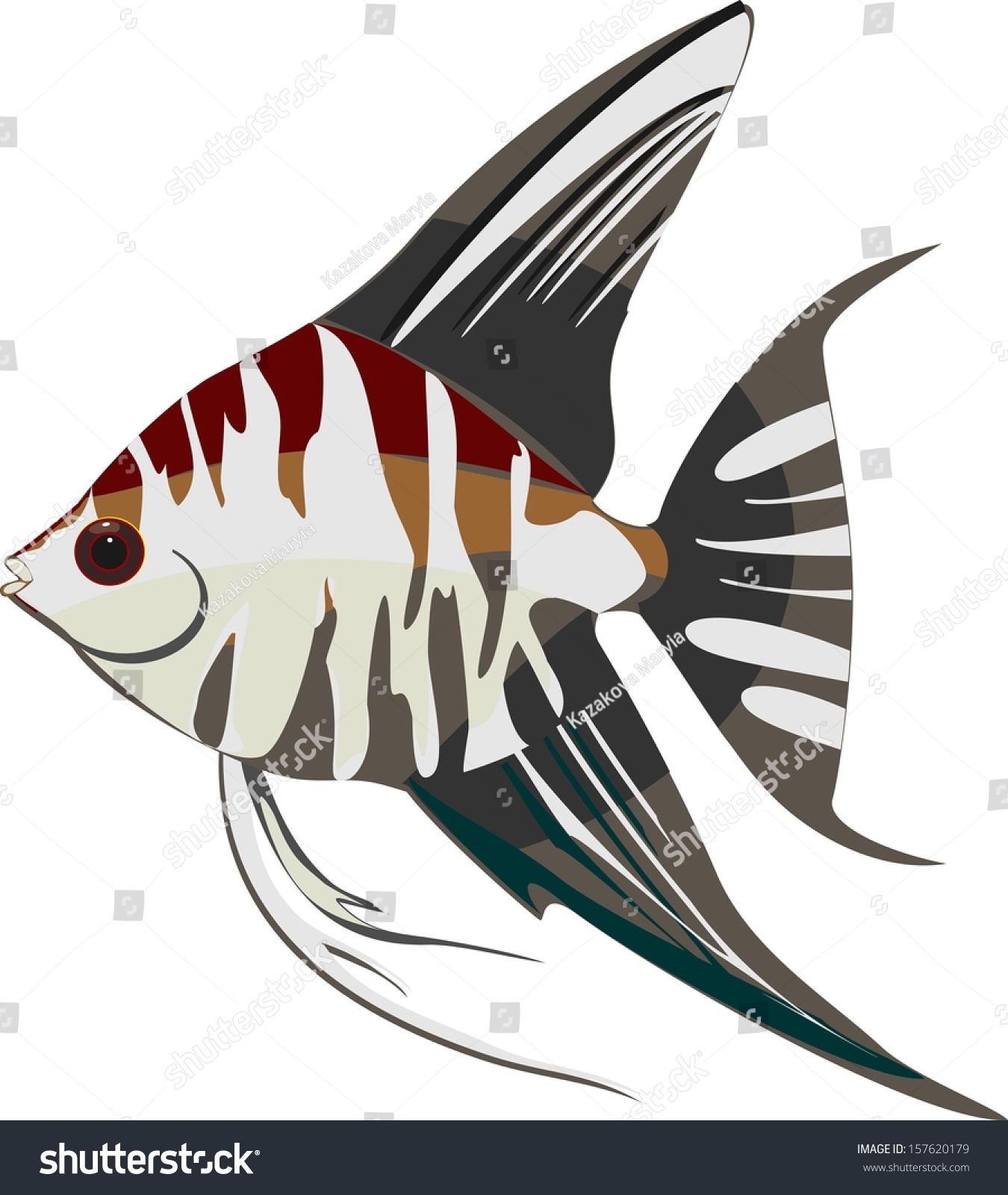 21 Teardrop angelfish Images, Stock Photos & Vectors | Shutterstock