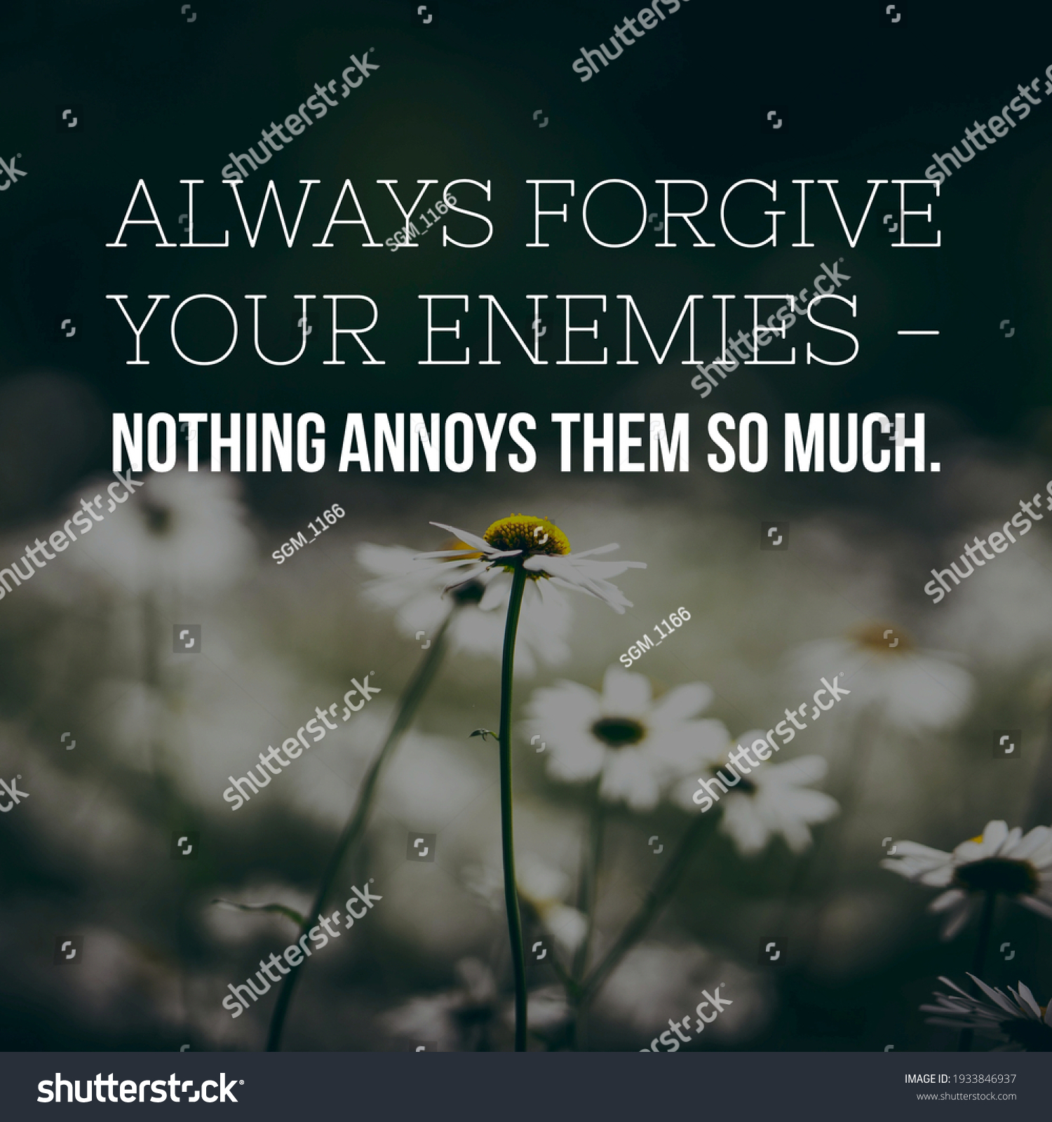 Always Forgive Your Enemies Nothing Annoys Stock Photo 1933846937 ...