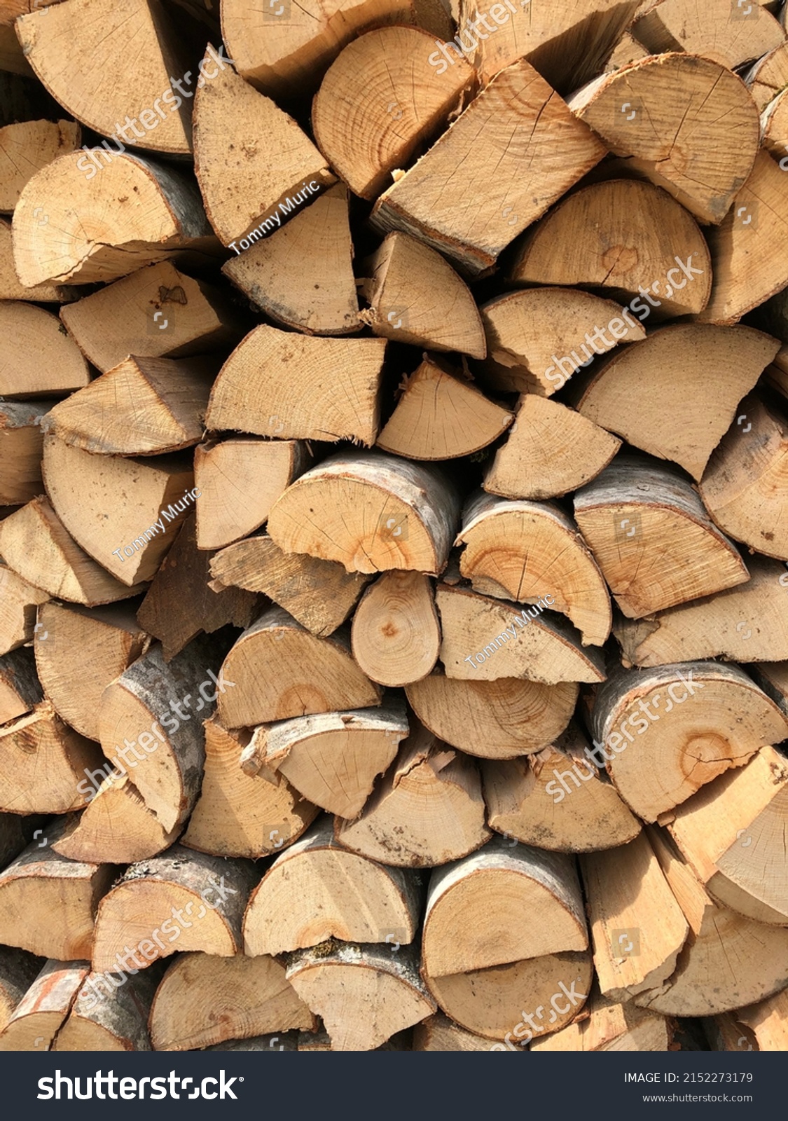 Amazing Background Image Stacked Shredded Wood Stock Photo 2152273179 