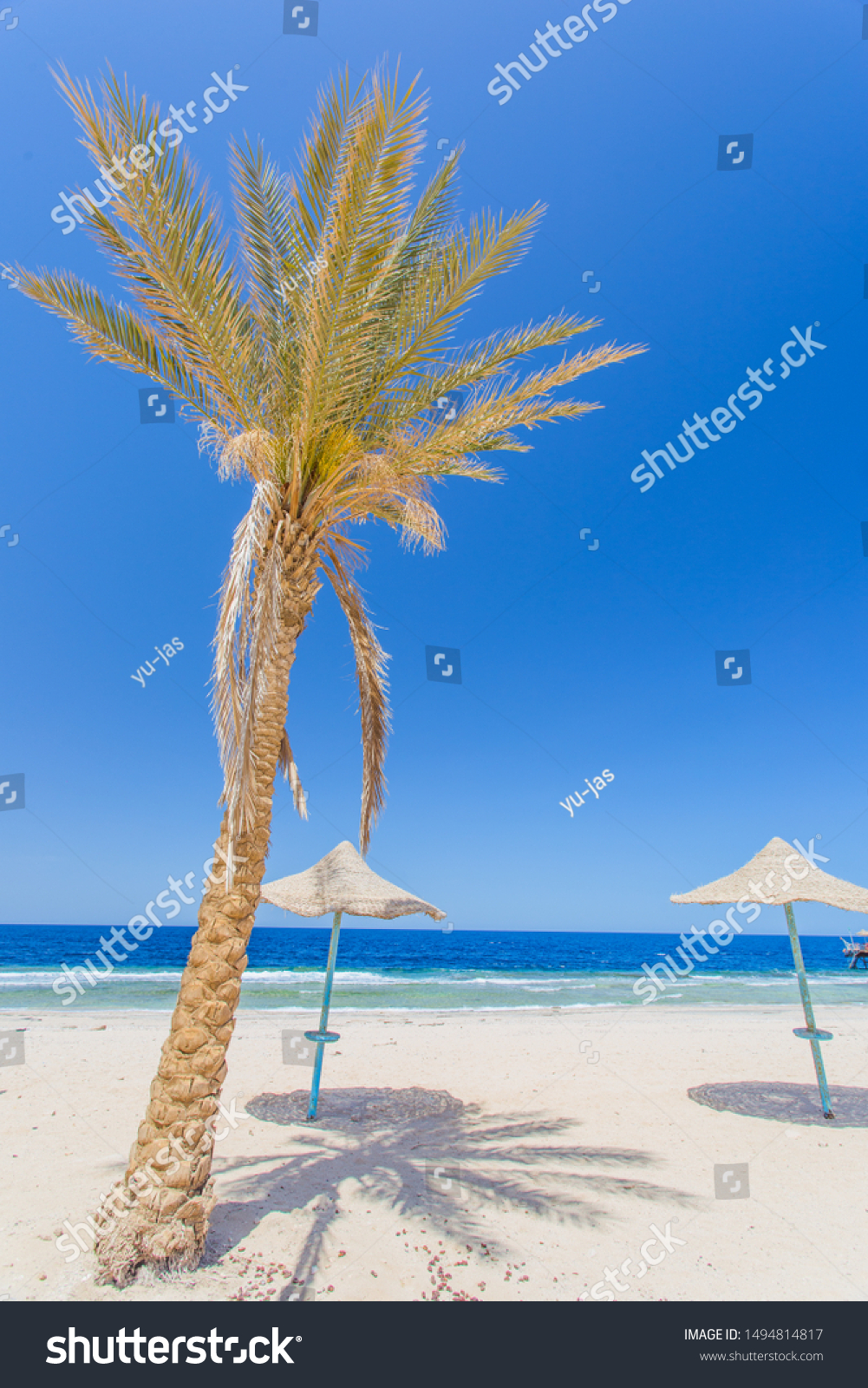 Amazing Dubai Nice Beach Beach Chairs Stock Photo Edit Now