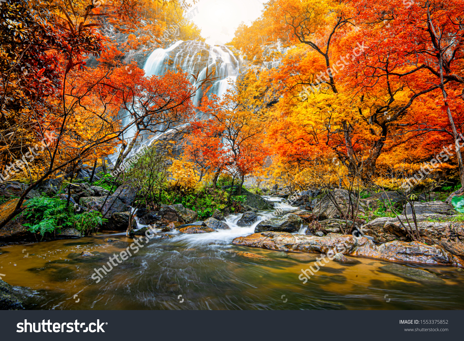 ingeniørarbejde pakke At placere Amazing Nature Beautiful Waterfall Colorful Autumn Stock Photo (Edit Now)  1553375852