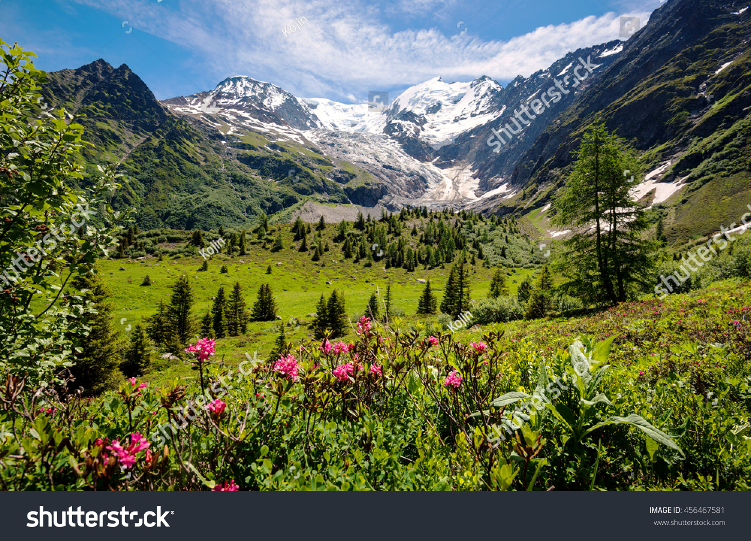 Amazing Panorama French Alps Part Famous Stock Photo 456467581 ...