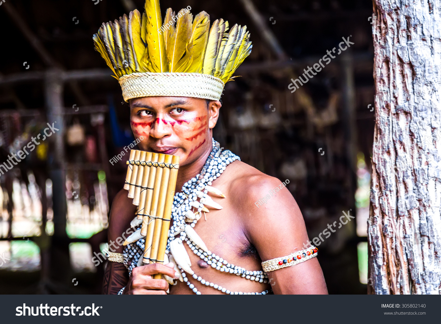 Amazon Brazil Circa March 2014 Indian Stock Photo 305802140 - Shutterstock