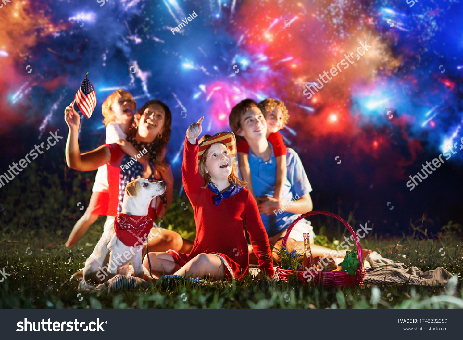 American Family Celebrating Independence Day Picnic Foto stock 1748232389  Shutterstock